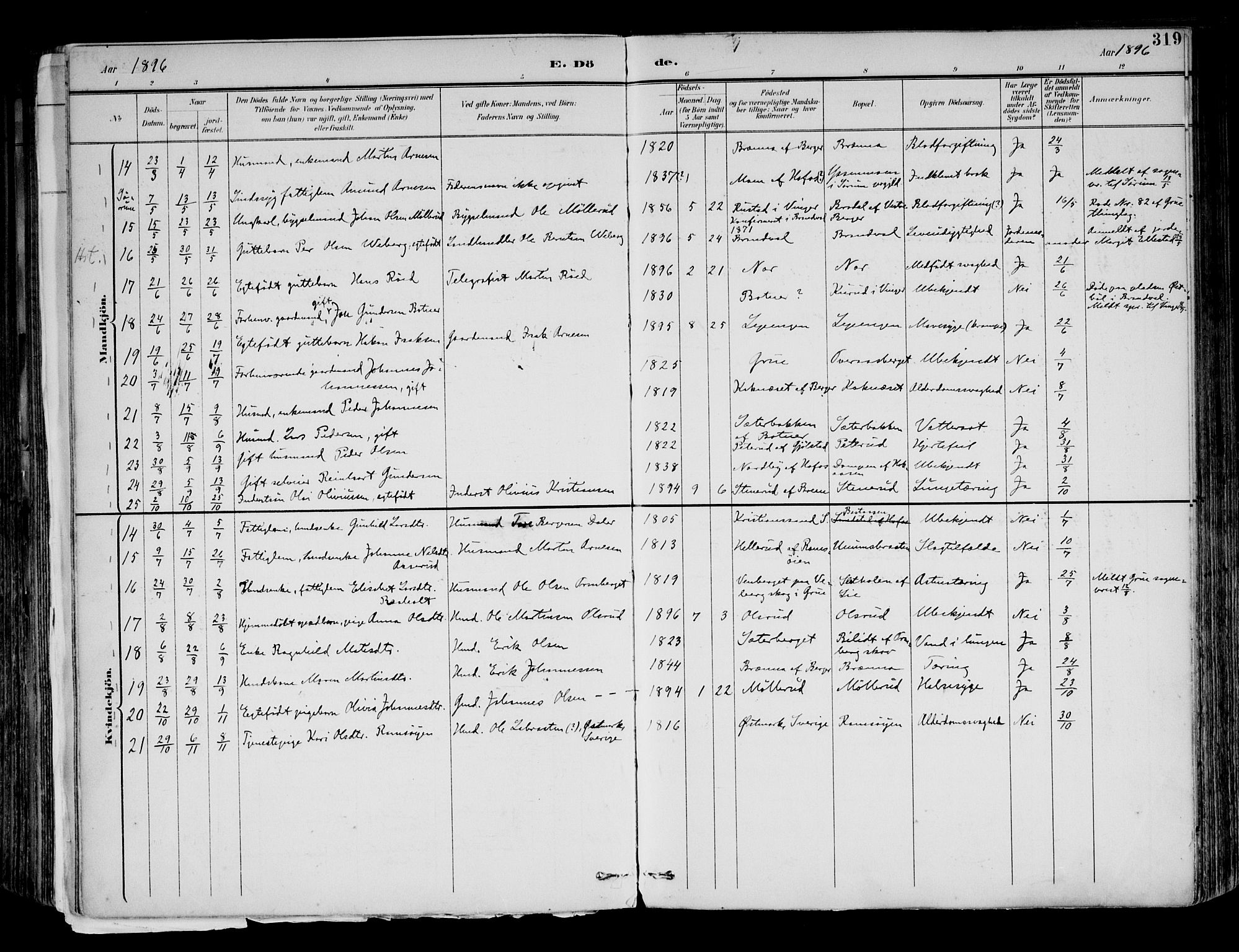 Brandval prestekontor, AV/SAH-PREST-034/H/Ha/Haa/L0003: Parish register (official) no. 3, 1894-1909, p. 319