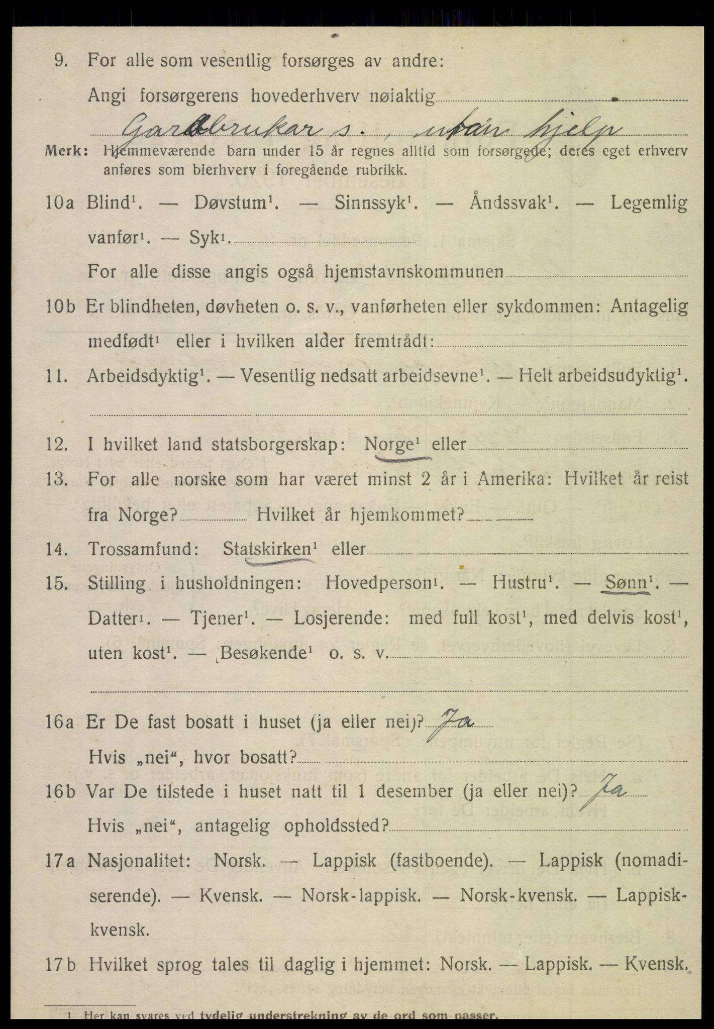 SAT, 1920 census for Hattfjelldal, 1920, p. 1267