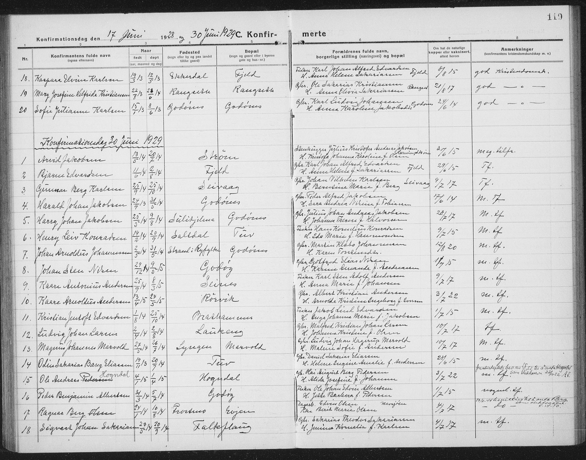 Ministerialprotokoller, klokkerbøker og fødselsregistre - Nordland, AV/SAT-A-1459/804/L0089: Parish register (copy) no. 804C02, 1918-1935, p. 119