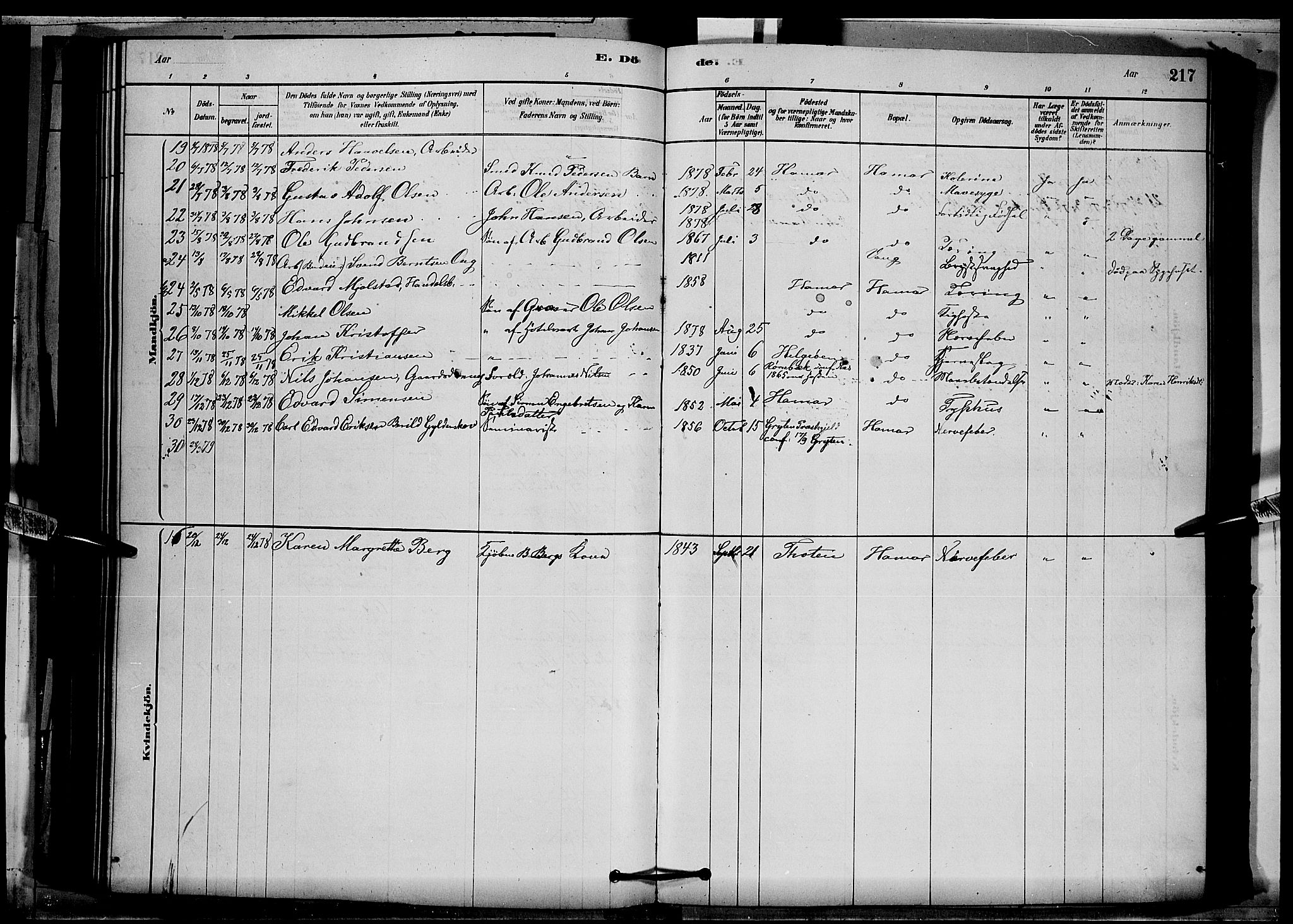 Vang prestekontor, Hedmark, SAH/PREST-008/H/Ha/Hab/L0012: Parish register (copy) no. 12, 1878-1889, p. 217