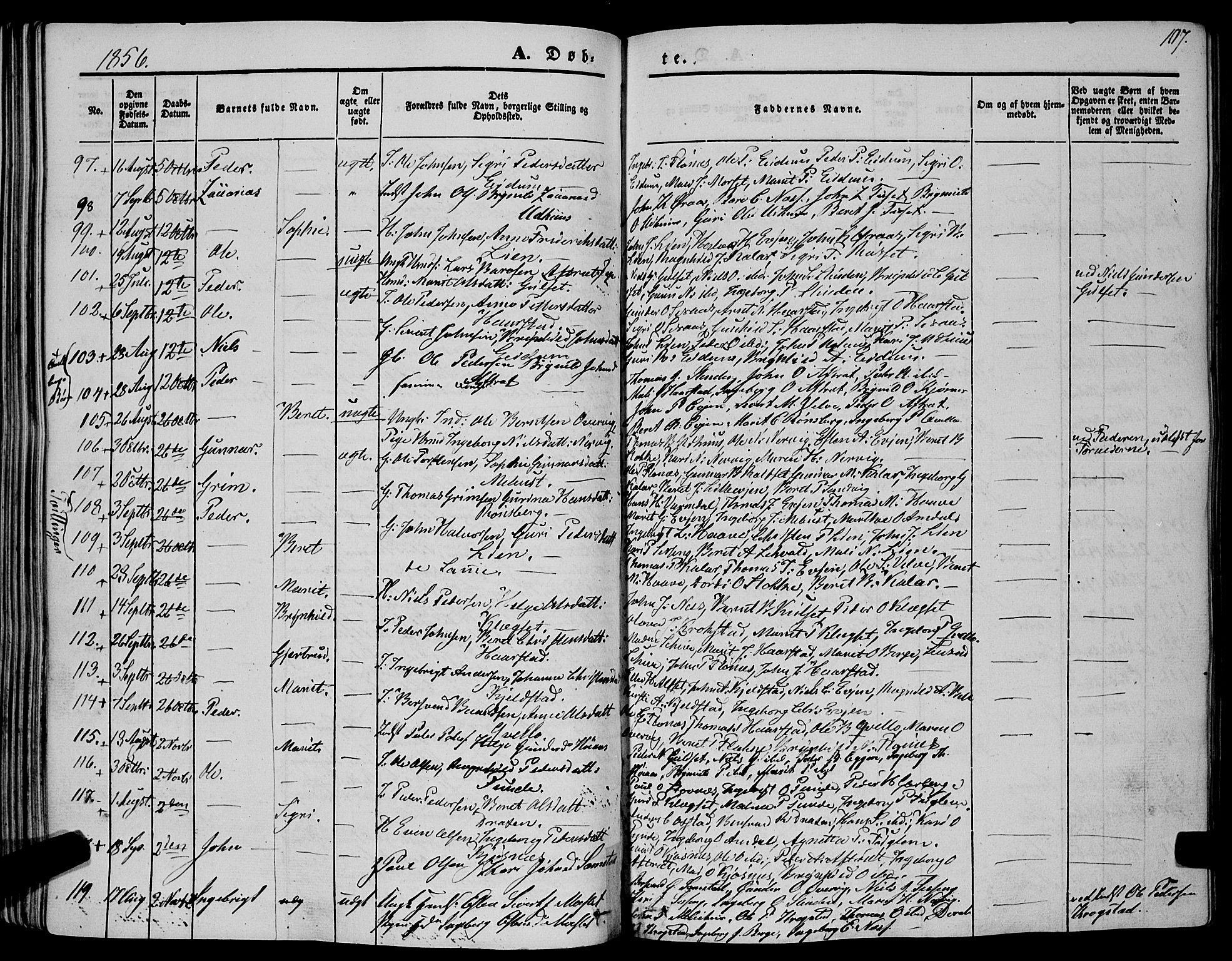 Ministerialprotokoller, klokkerbøker og fødselsregistre - Sør-Trøndelag, AV/SAT-A-1456/695/L1145: Parish register (official) no. 695A06 /1, 1843-1859, p. 107