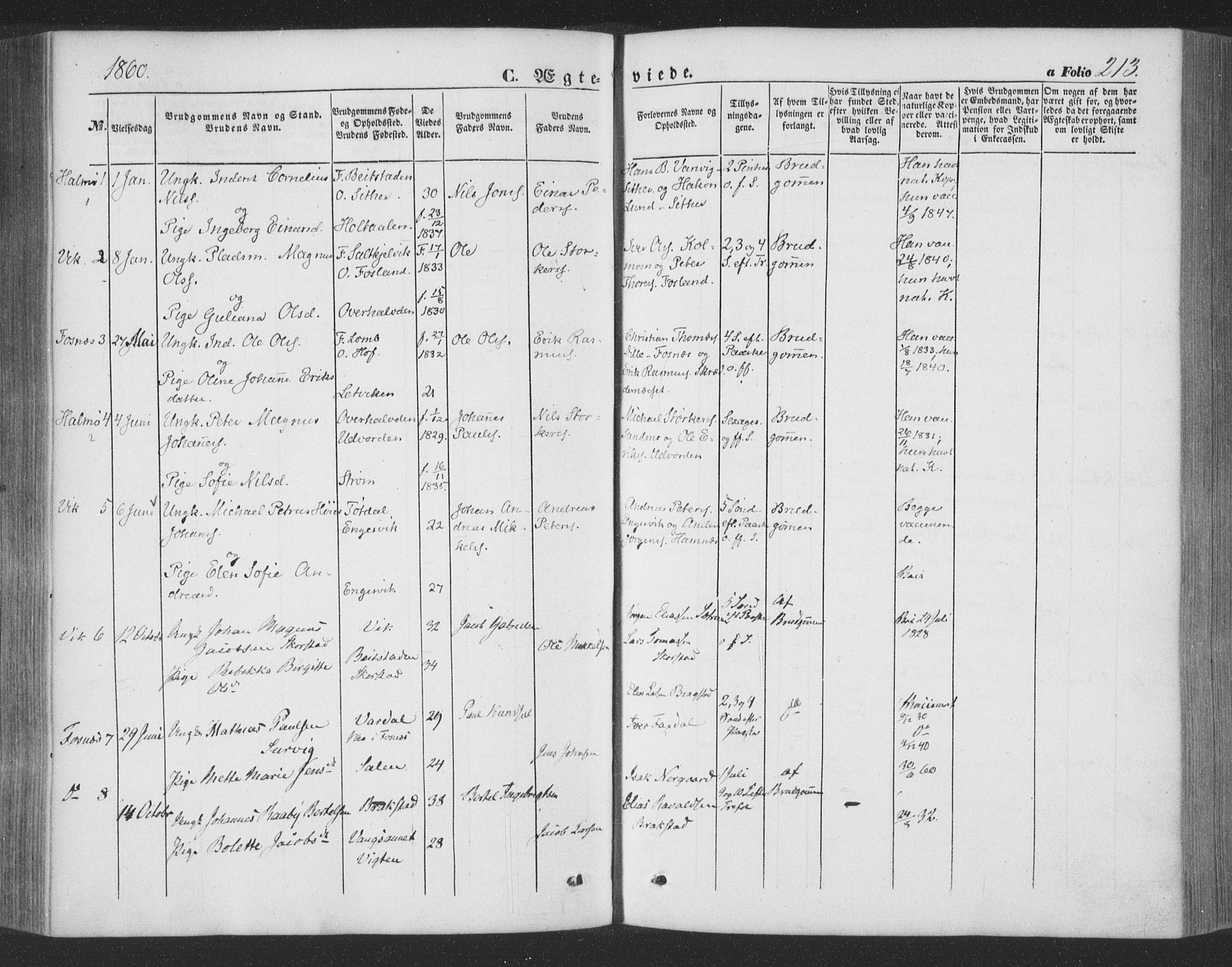 Ministerialprotokoller, klokkerbøker og fødselsregistre - Nord-Trøndelag, AV/SAT-A-1458/773/L0615: Parish register (official) no. 773A06, 1857-1870, p. 213