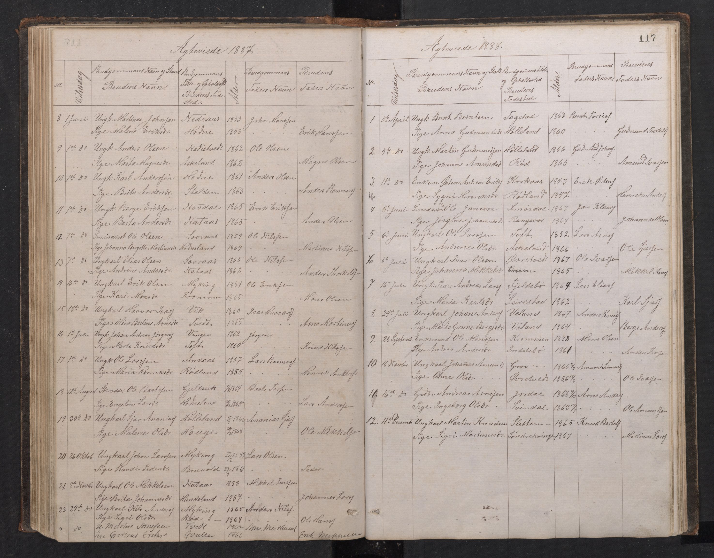 Lindås Sokneprestembete, SAB/A-76701/H/Hab: Parish register (copy) no. E 2, 1867-1892, p. 116b-117a