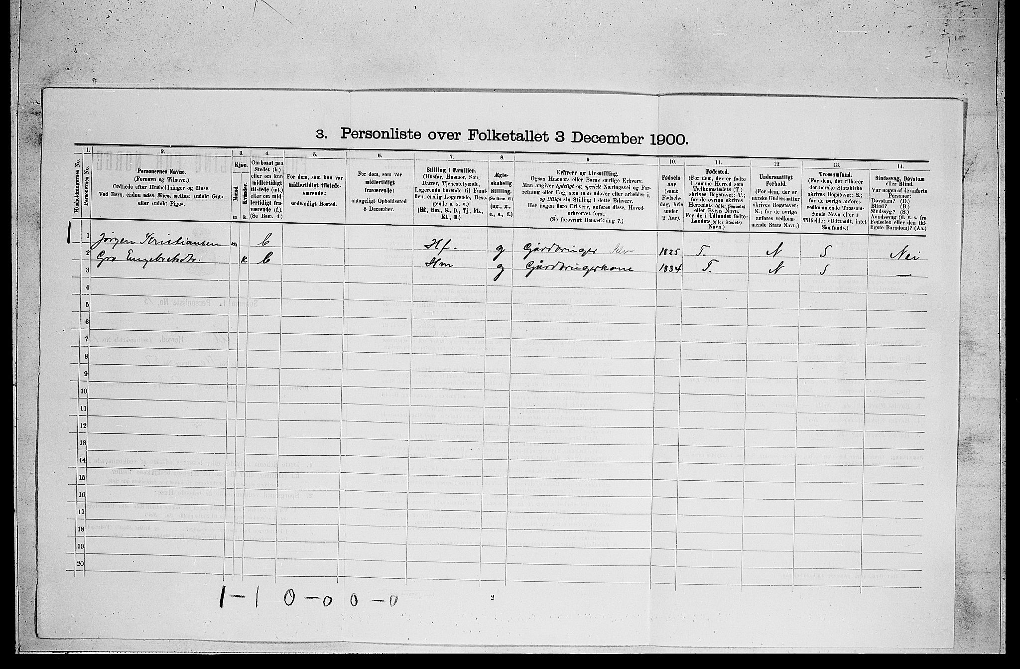 RA, 1900 census for Ål, 1900, p. 1031
