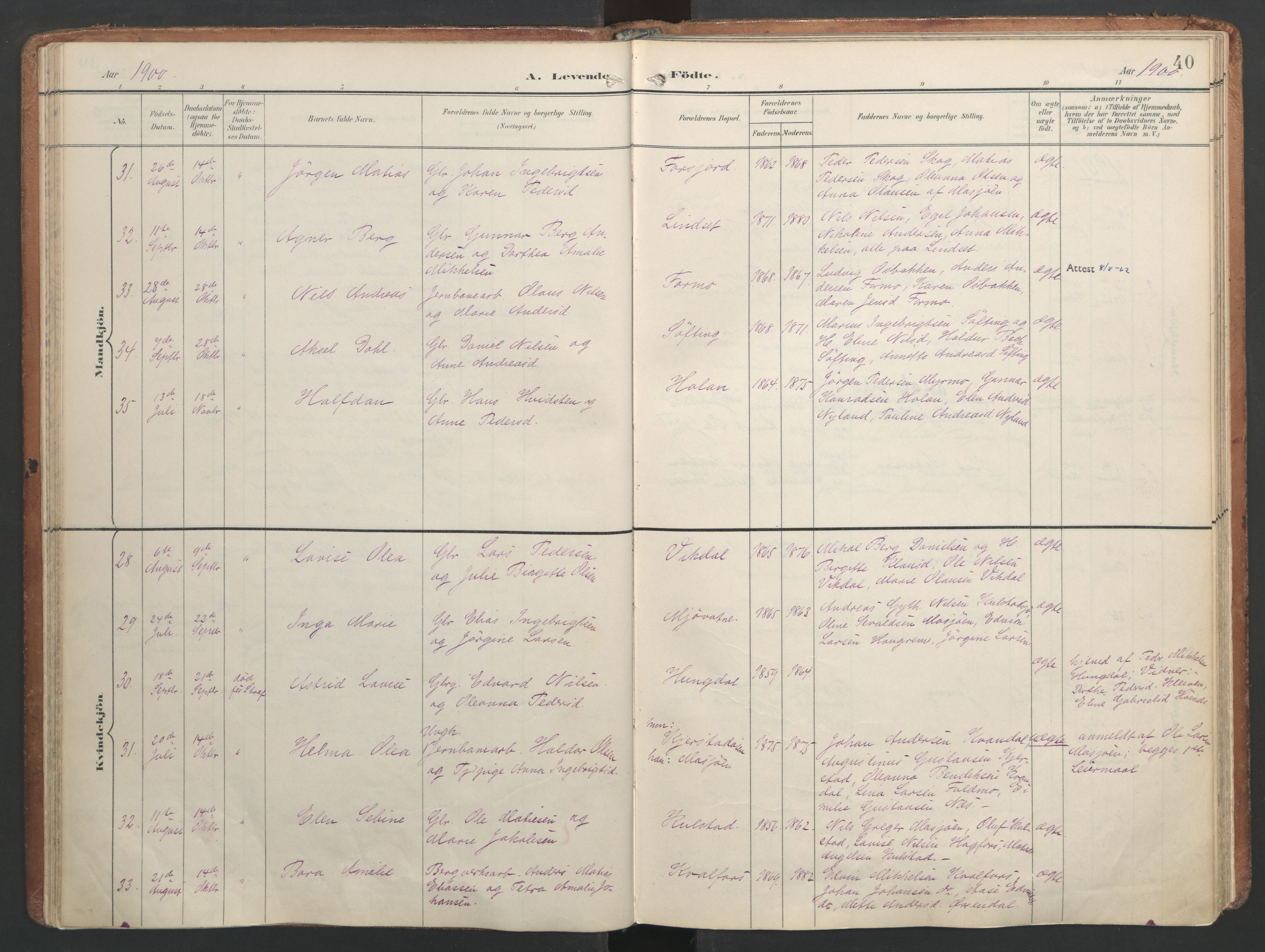 Ministerialprotokoller, klokkerbøker og fødselsregistre - Nordland, SAT/A-1459/820/L0297: Parish register (official) no. 820A18, 1897-1917, p. 40