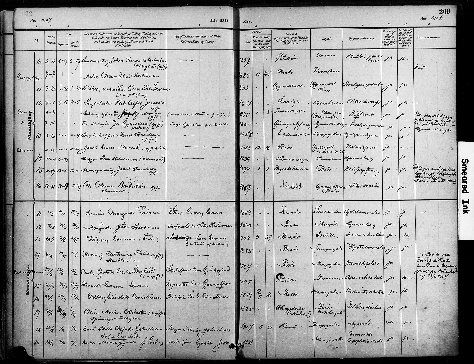 Risør sokneprestkontor, AV/SAK-1111-0035/F/Fa/L0010: Parish register (official) no. A 10, 1896-1906, p. 209