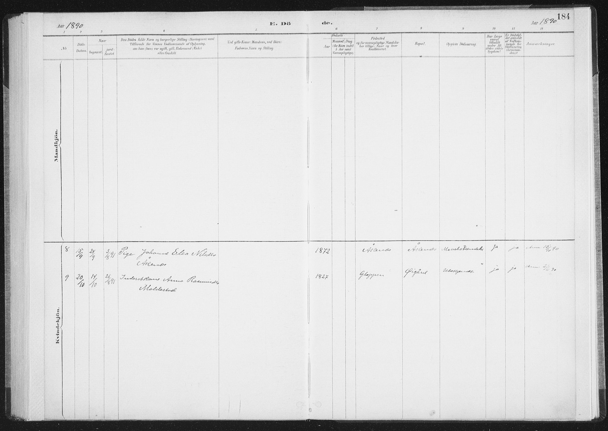 Ministerialprotokoller, klokkerbøker og fødselsregistre - Nordland, AV/SAT-A-1459/898/L1422: Parish register (official) no. 898A02, 1887-1908, p. 184