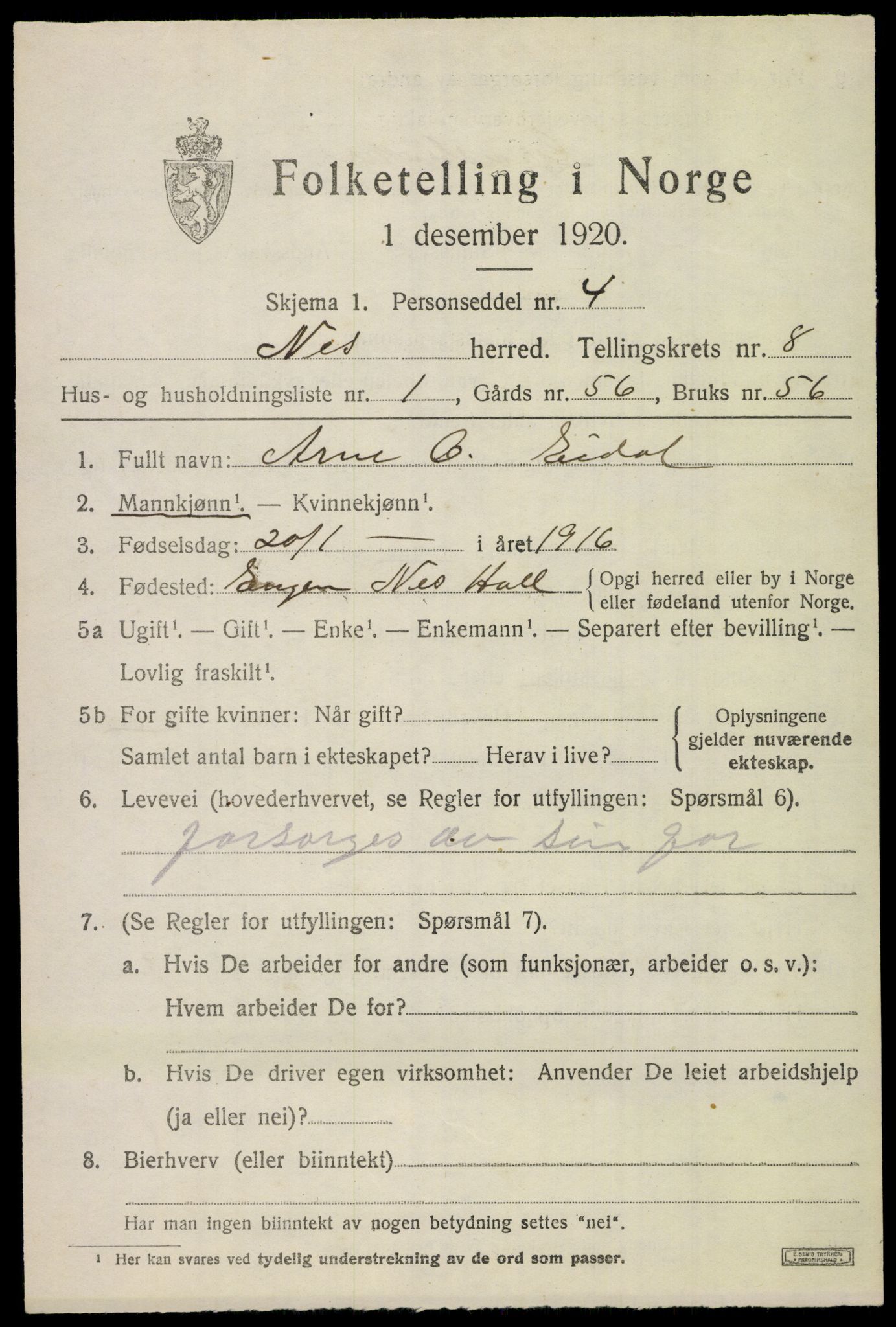 SAKO, 1920 census for Nes (Buskerud), 1920, p. 5070