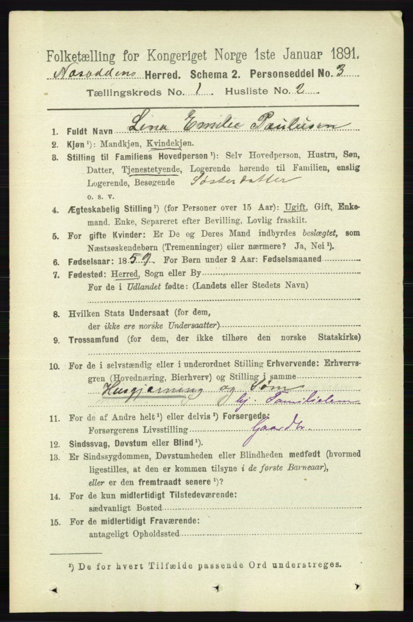 RA, 1891 census for 0216 Nesodden, 1891, p. 100