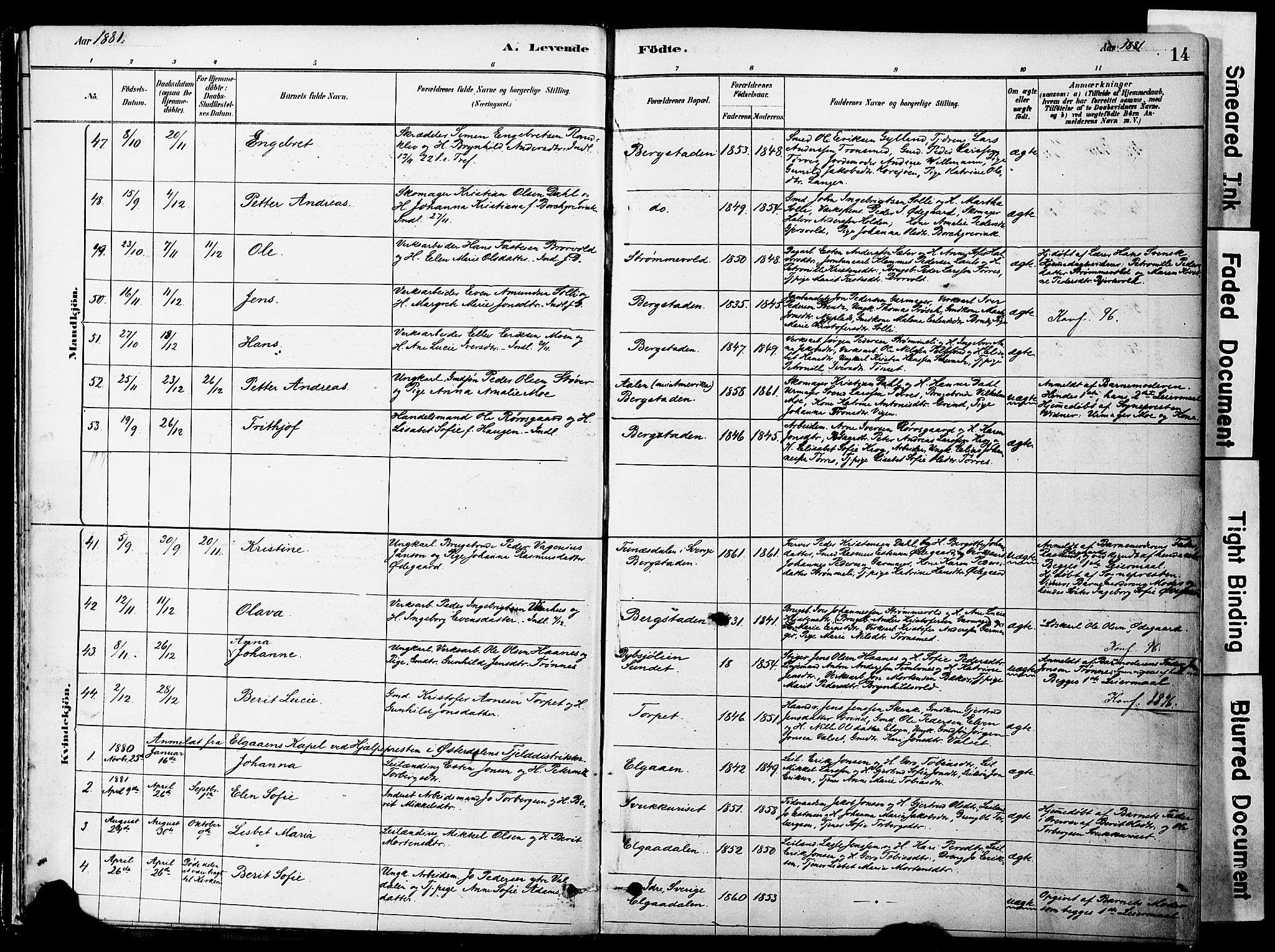 Ministerialprotokoller, klokkerbøker og fødselsregistre - Sør-Trøndelag, SAT/A-1456/681/L0933: Parish register (official) no. 681A11, 1879-1890, p. 14