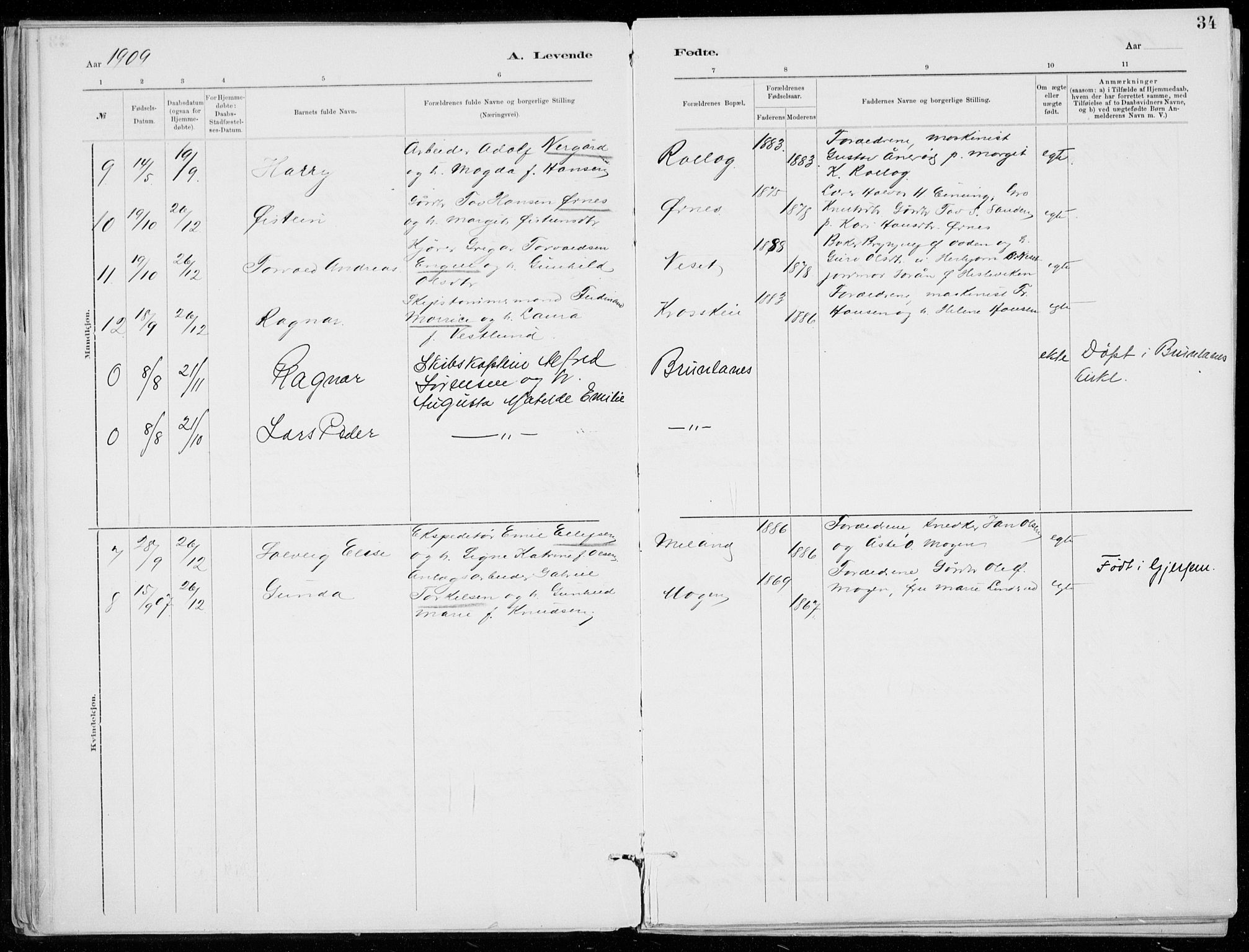 Tinn kirkebøker, SAKO/A-308/F/Fb/L0002: Parish register (official) no. II 2, 1878-1917, p. 34