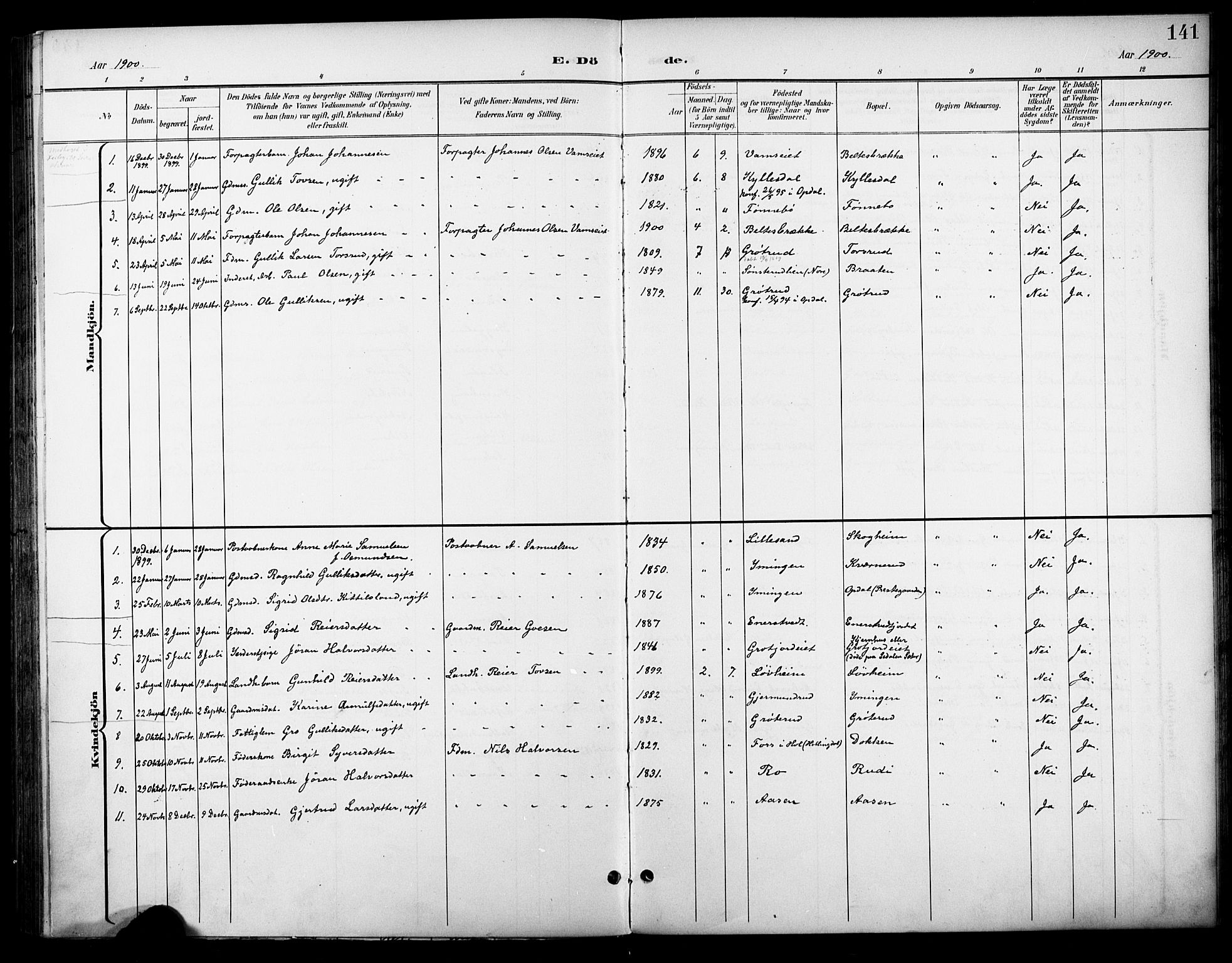 Nore kirkebøker, SAKO/A-238/F/Fc/L0005: Parish register (official) no. III 5, 1898-1922, p. 141