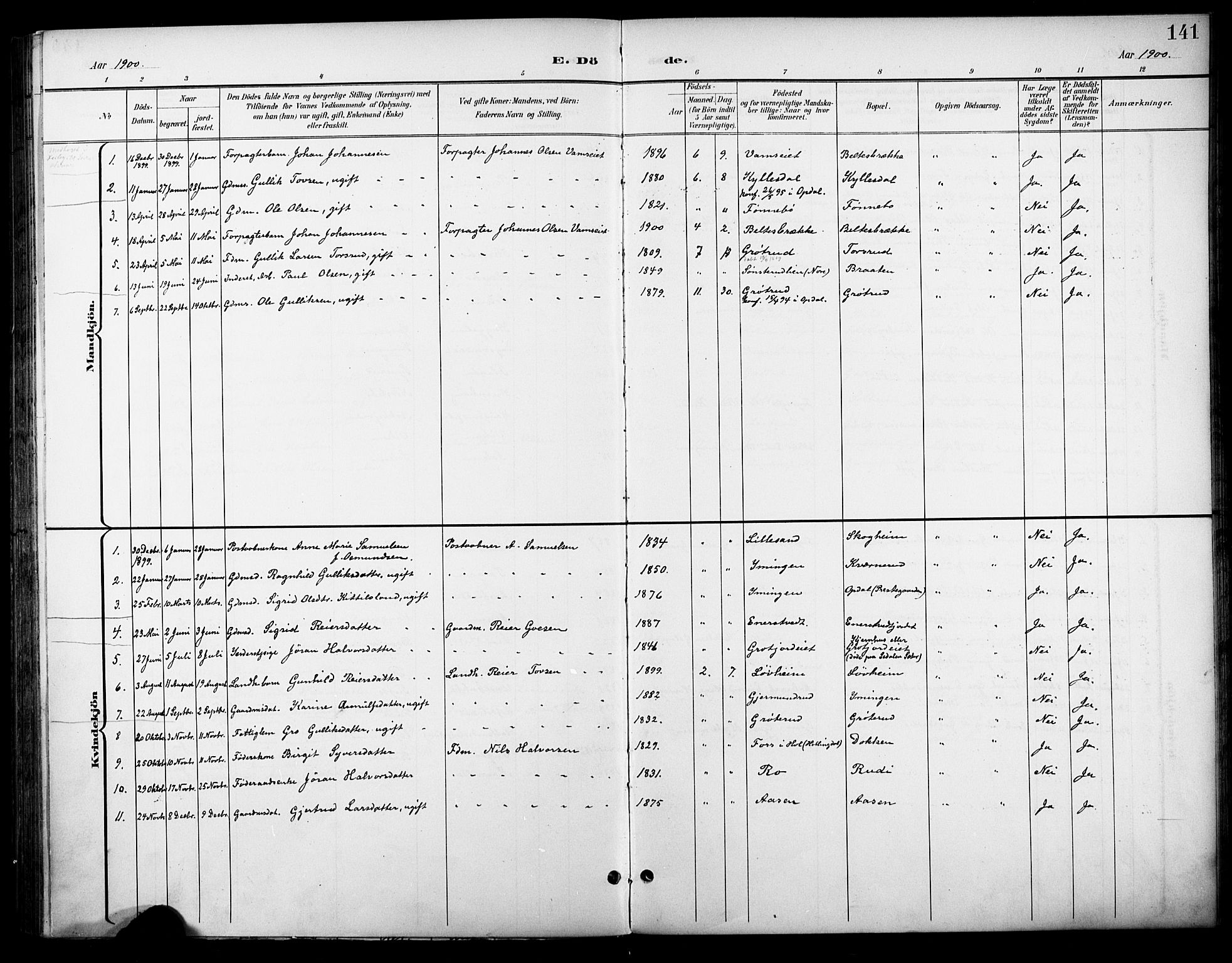 Nore kirkebøker, AV/SAKO-A-238/F/Fc/L0005: Parish register (official) no. III 5, 1898-1922, p. 141