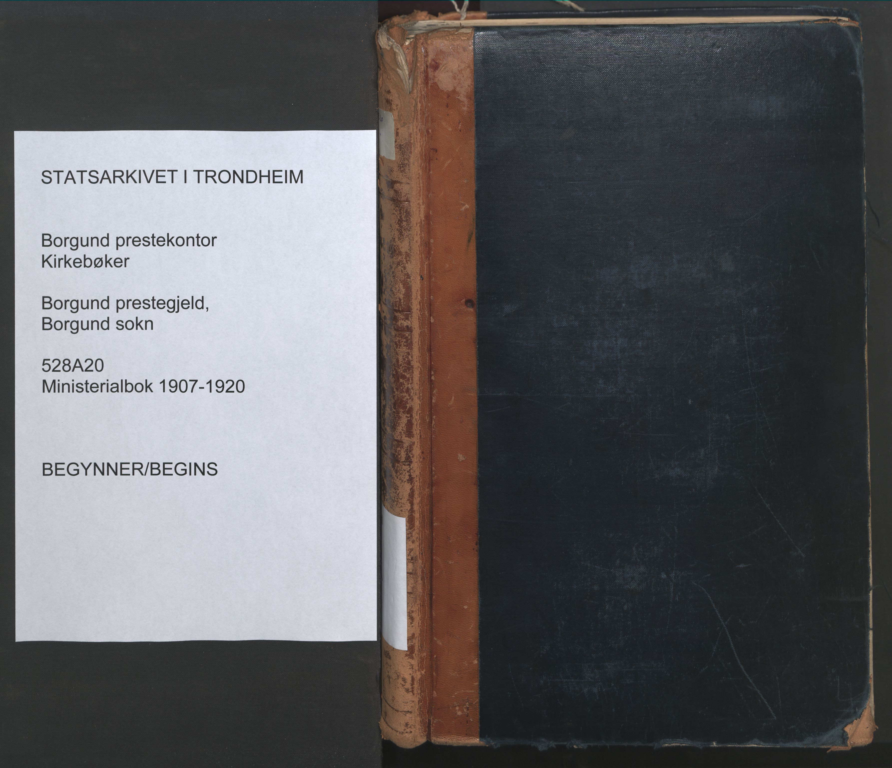 Ministerialprotokoller, klokkerbøker og fødselsregistre - Møre og Romsdal, SAT/A-1454/528/L0411: Parish register (official) no. 528A20, 1907-1920
