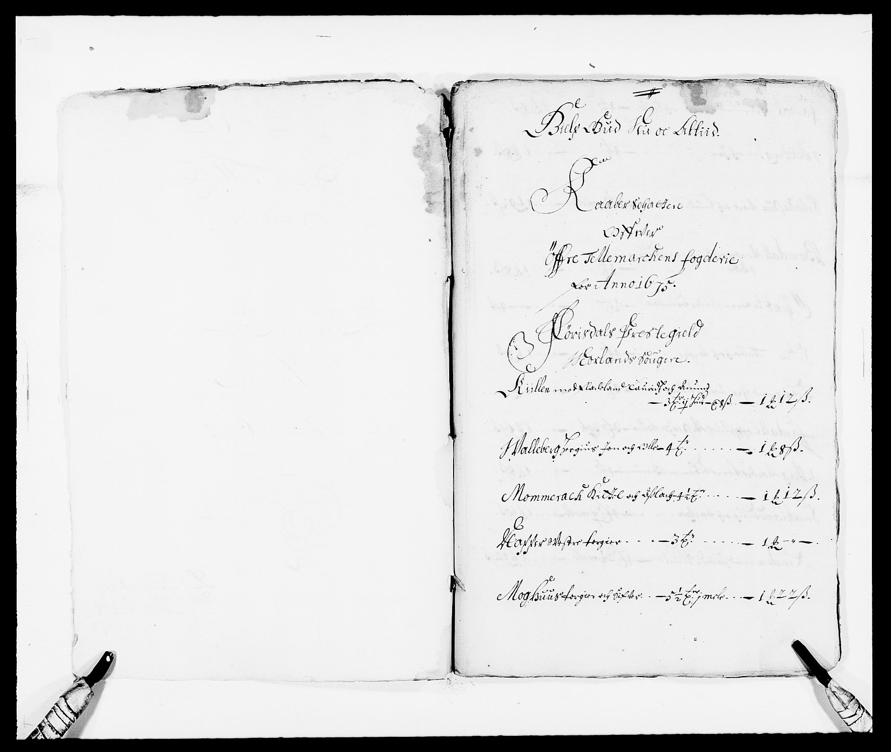 Rentekammeret inntil 1814, Reviderte regnskaper, Fogderegnskap, RA/EA-4092/R35/L2064: Fogderegnskap Øvre og Nedre Telemark, 1675, p. 83