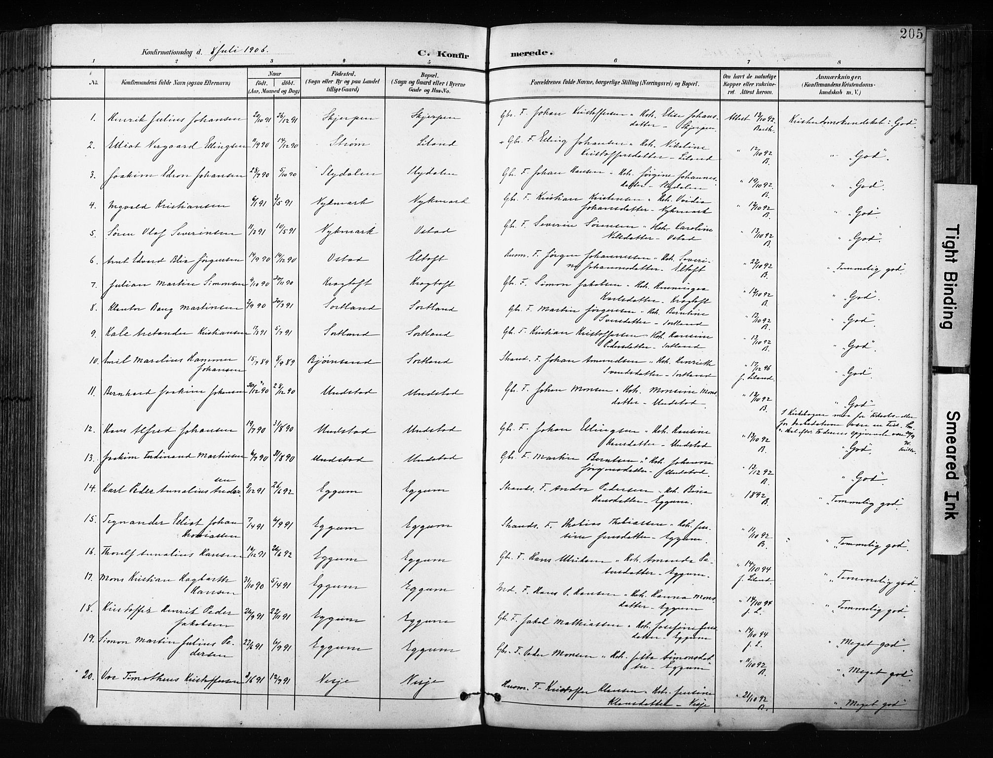 Ministerialprotokoller, klokkerbøker og fødselsregistre - Nordland, AV/SAT-A-1459/880/L1134: Parish register (official) no. 880A08, 1899-1908, p. 205