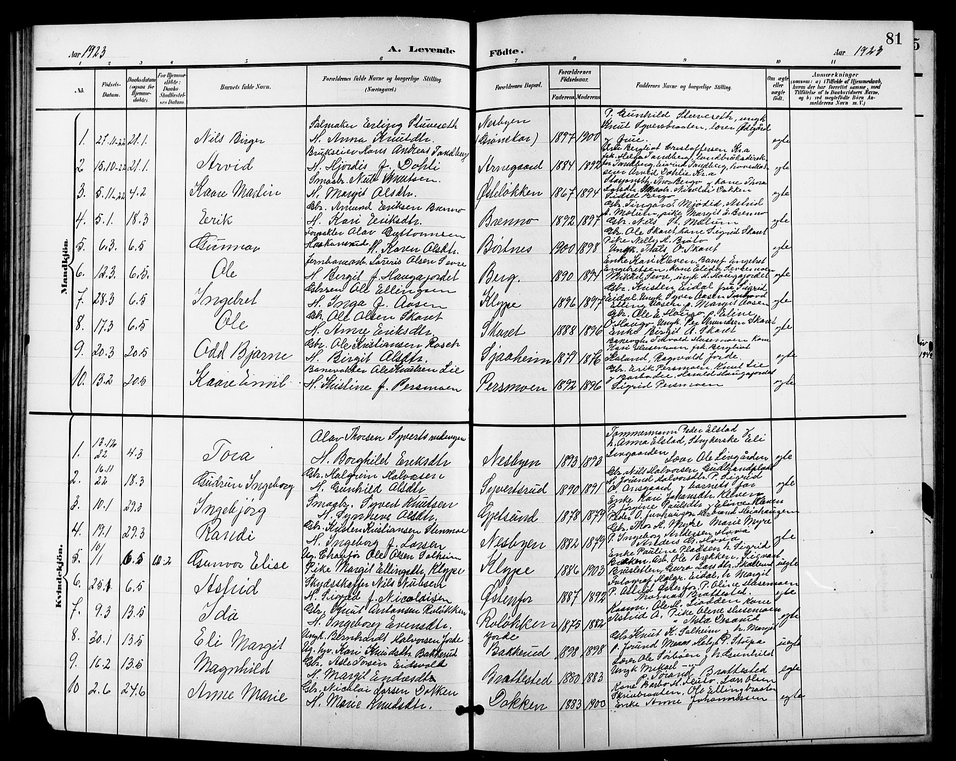 Nes kirkebøker, SAKO/A-236/G/Ga/L0004: Parish register (copy) no. I 4, 1900-1925, p. 81