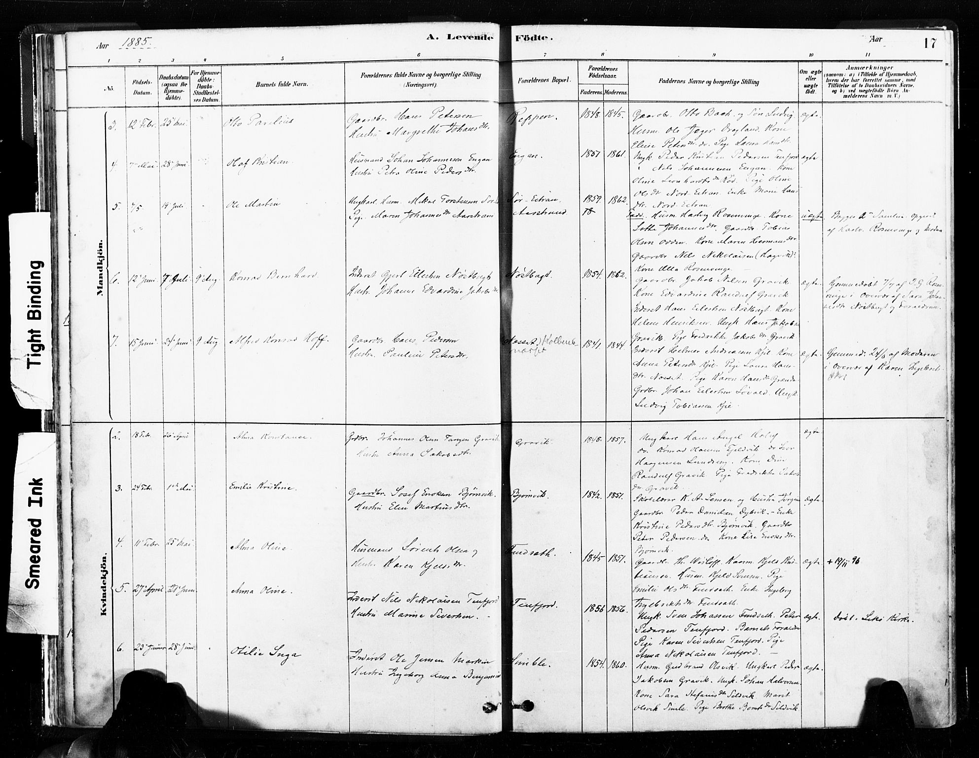 Ministerialprotokoller, klokkerbøker og fødselsregistre - Nord-Trøndelag, SAT/A-1458/789/L0705: Parish register (official) no. 789A01, 1878-1910, p. 17
