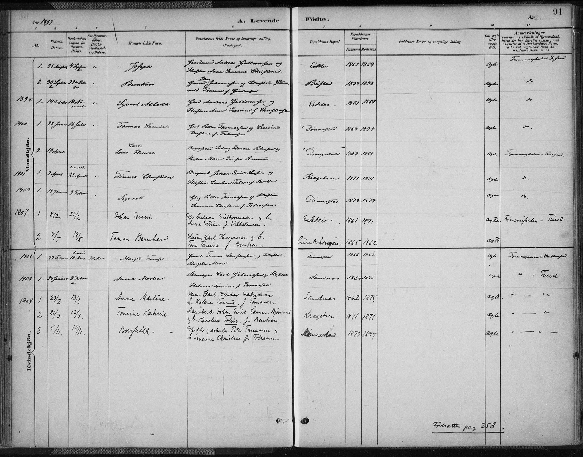 Tveit sokneprestkontor, AV/SAK-1111-0043/F/Fa/L0007: Parish register (official) no. A 7, 1887-1908, p. 91