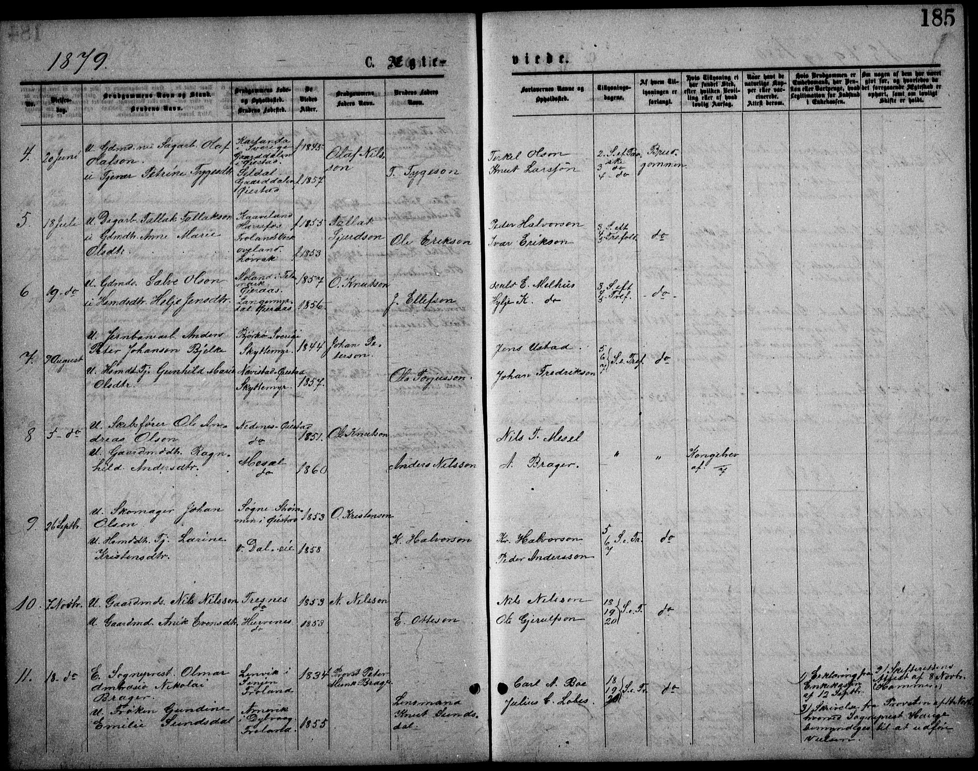 Froland sokneprestkontor, AV/SAK-1111-0013/F/Fb/L0009: Parish register (copy) no. B 9, 1875-1893, p. 185