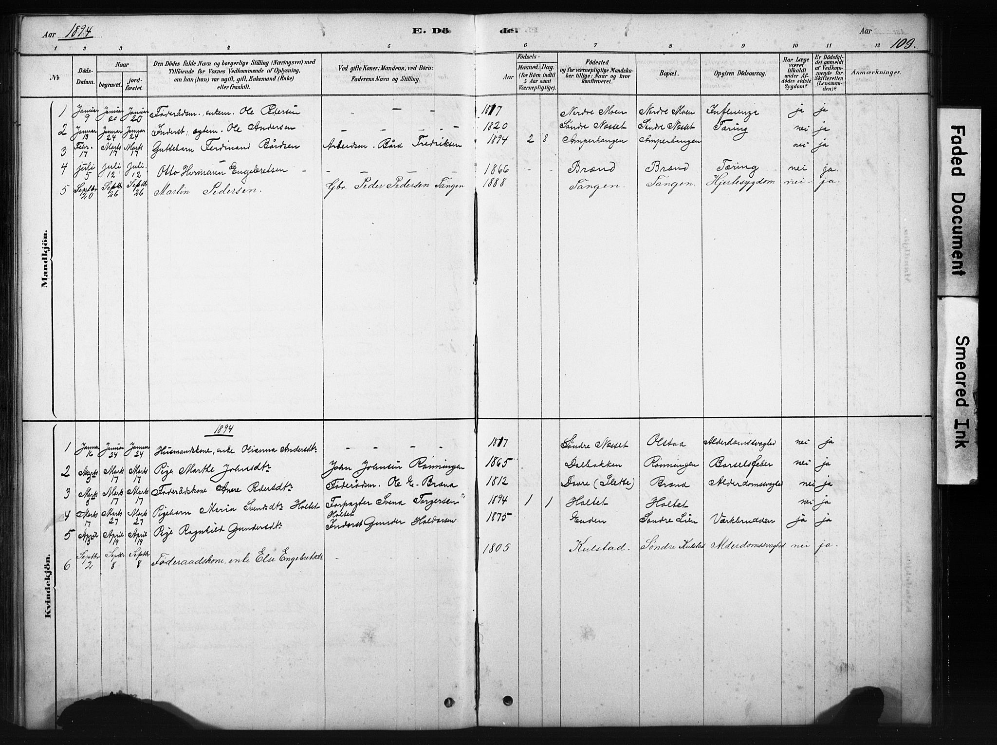 Sollia prestekontor, SAH/PREST-050/H/Ha/Hab/L0002: Parish register (copy) no. 2, 1880-1933, p. 109