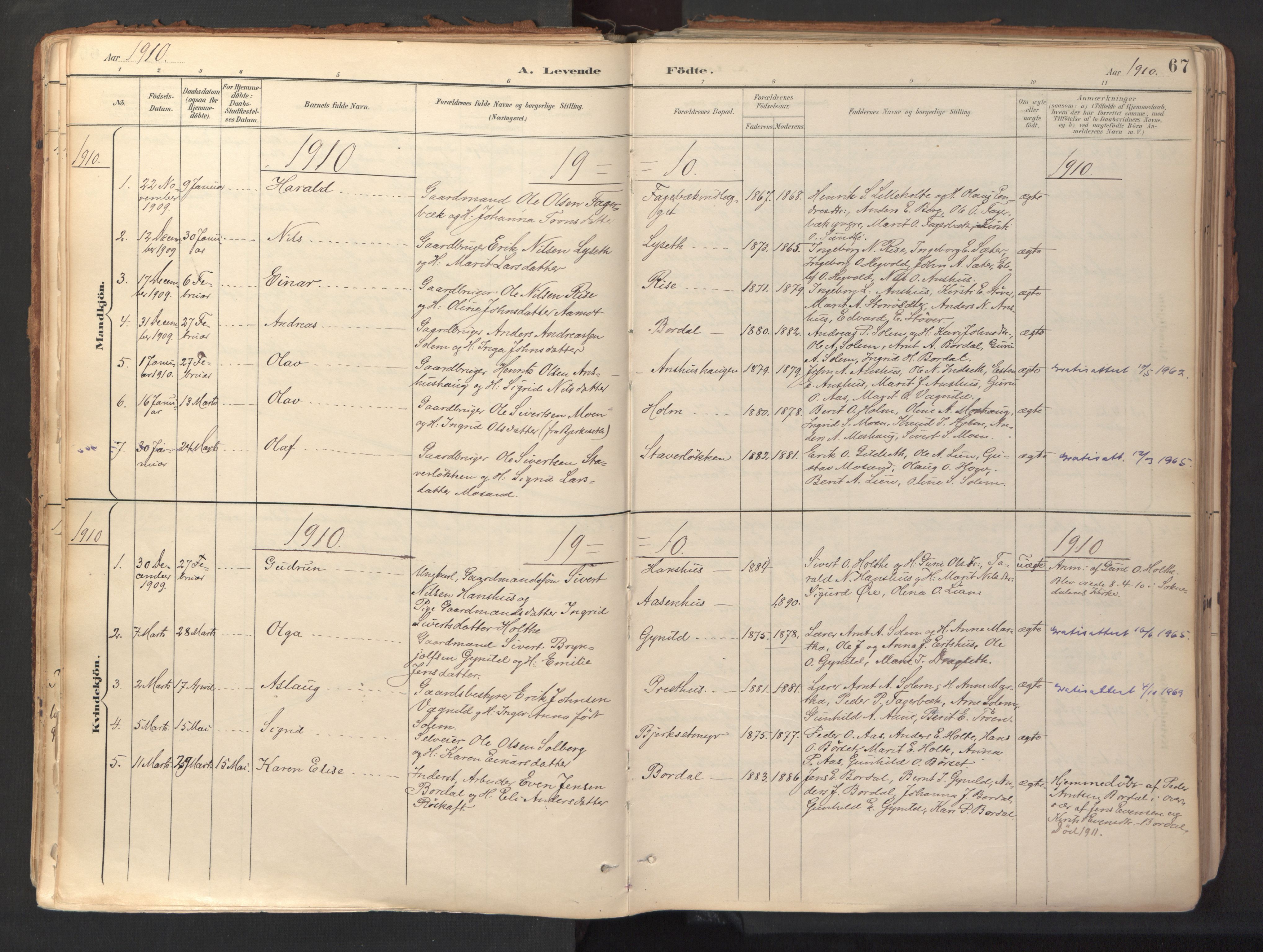 Ministerialprotokoller, klokkerbøker og fødselsregistre - Sør-Trøndelag, SAT/A-1456/689/L1041: Parish register (official) no. 689A06, 1891-1923, p. 67