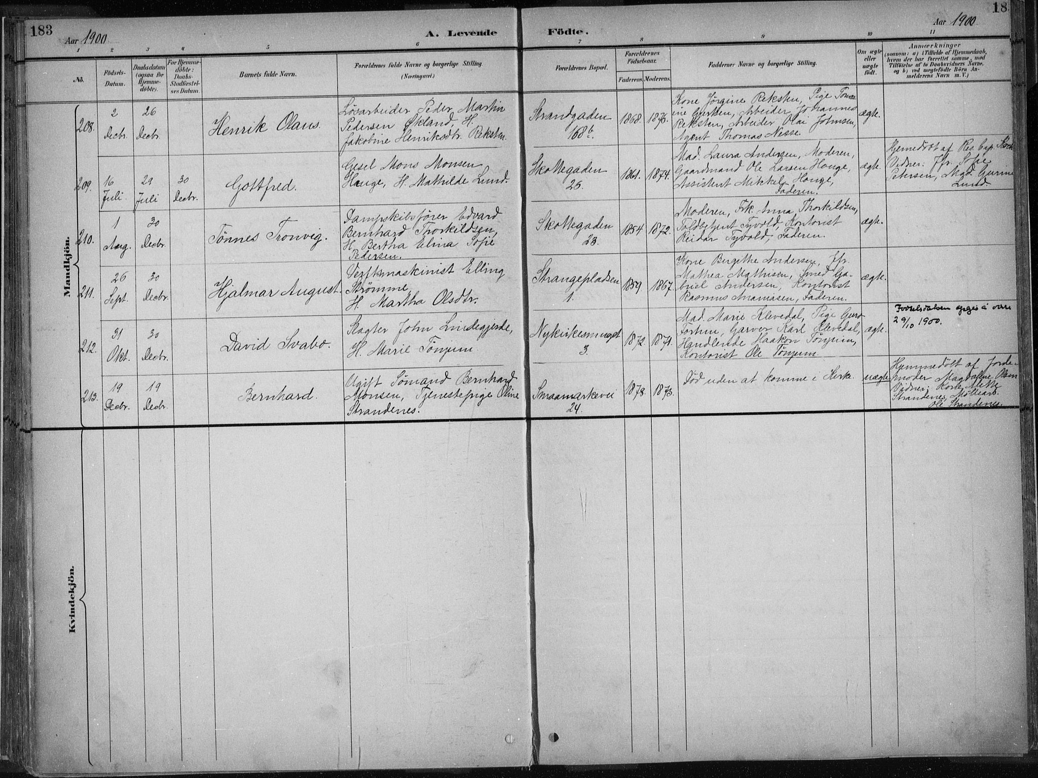 Nykirken Sokneprestembete, AV/SAB-A-77101/H/Haa/L0018: Parish register (official) no. B 6, 1895-1903, p. 183