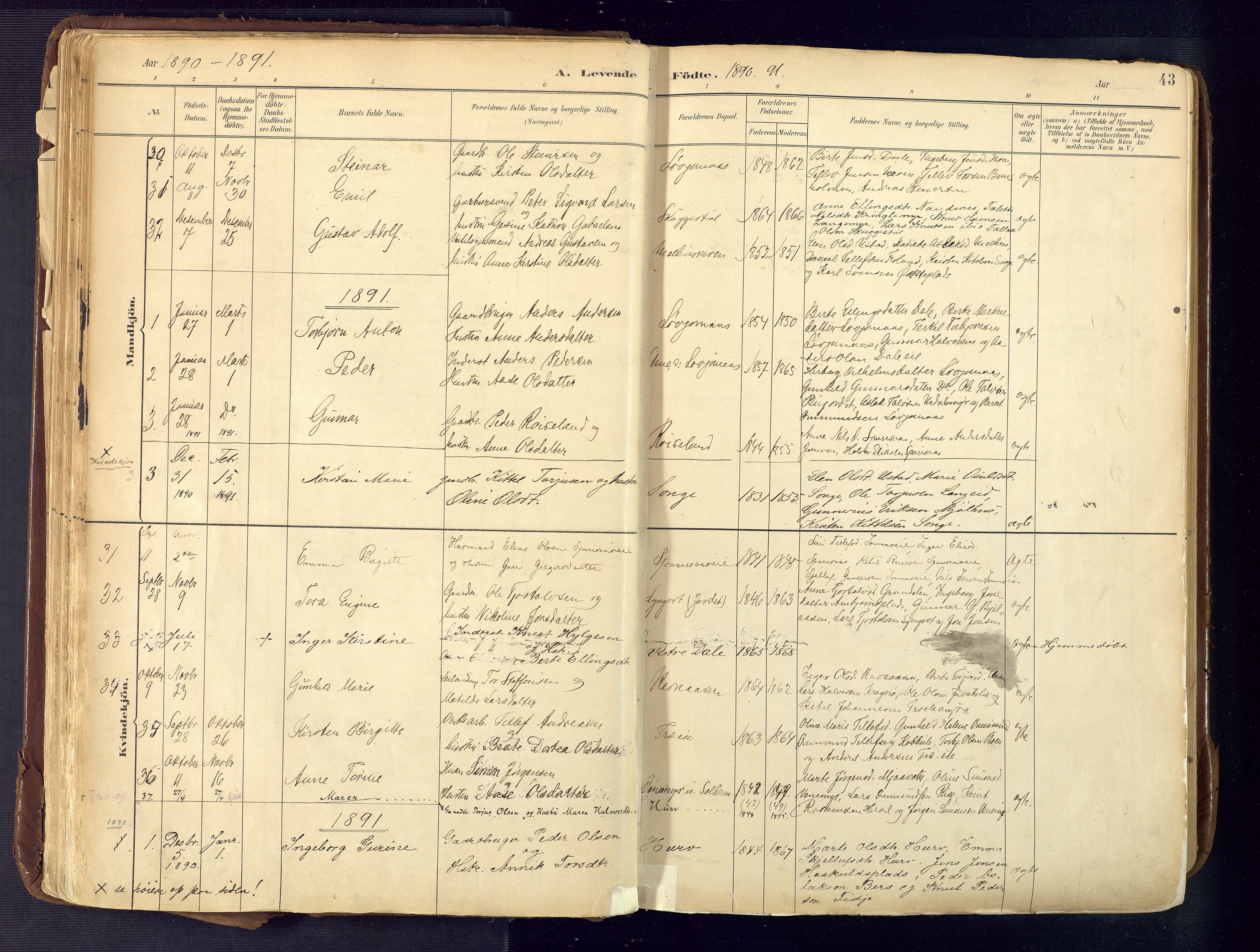 Froland sokneprestkontor, AV/SAK-1111-0013/F/Fa/L0005: Parish register (official) no. A 5, 1882-1921, p. 43