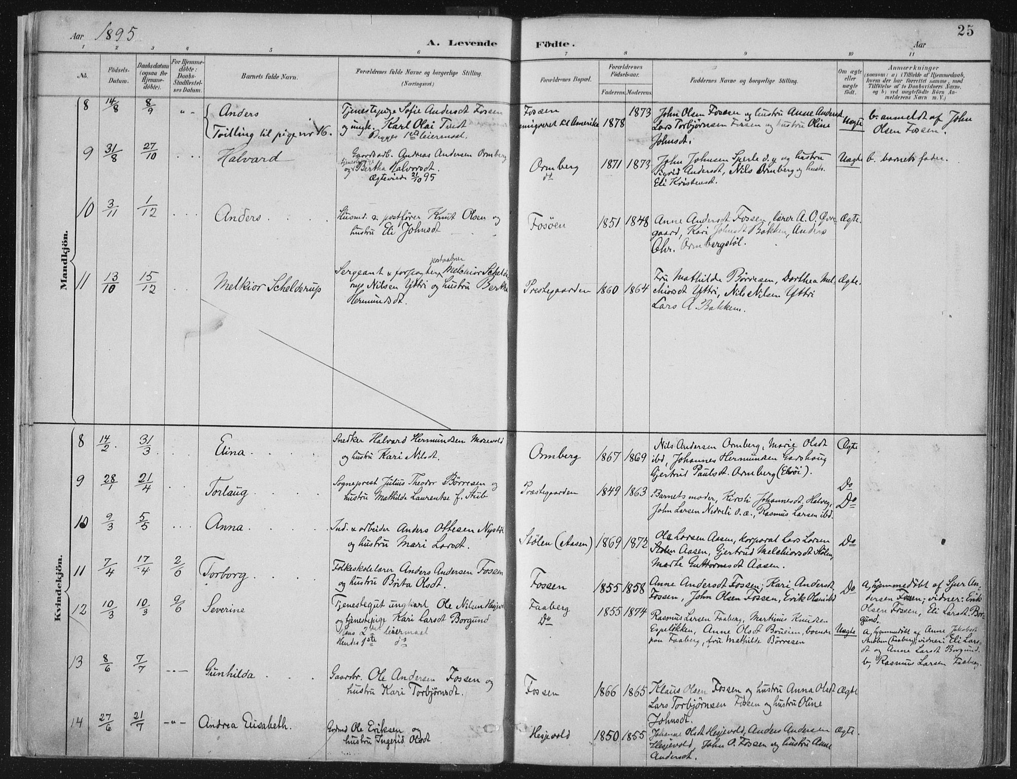 Jostedal sokneprestembete, SAB/A-80601/H/Haa/Haab/L0001: Parish register (official) no. B 1, 1887-1914, p. 25