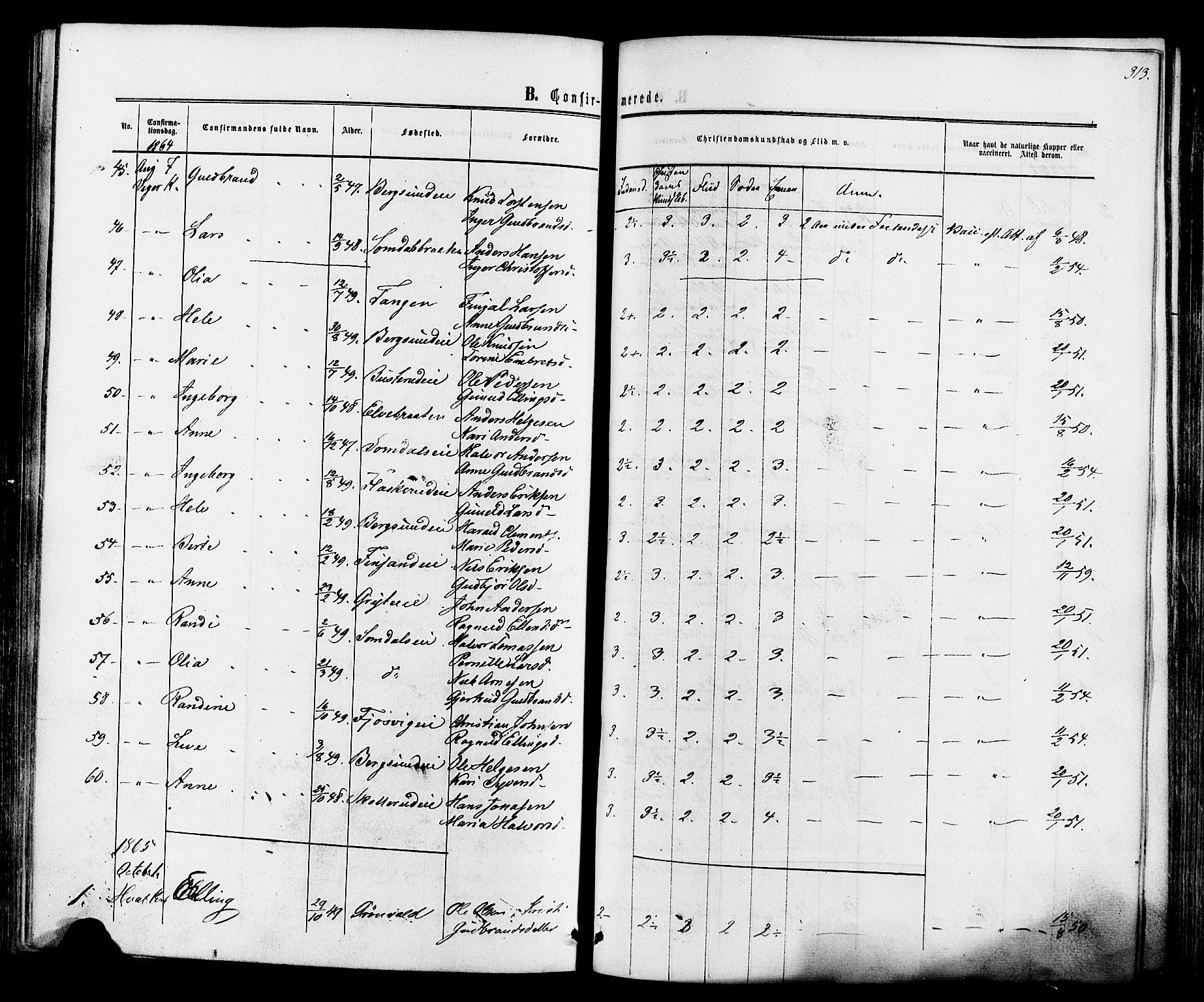 Ådal kirkebøker, SAKO/A-248/F/Fa/L0001: Parish register (official) no. I 1, 1857-1883, p. 313