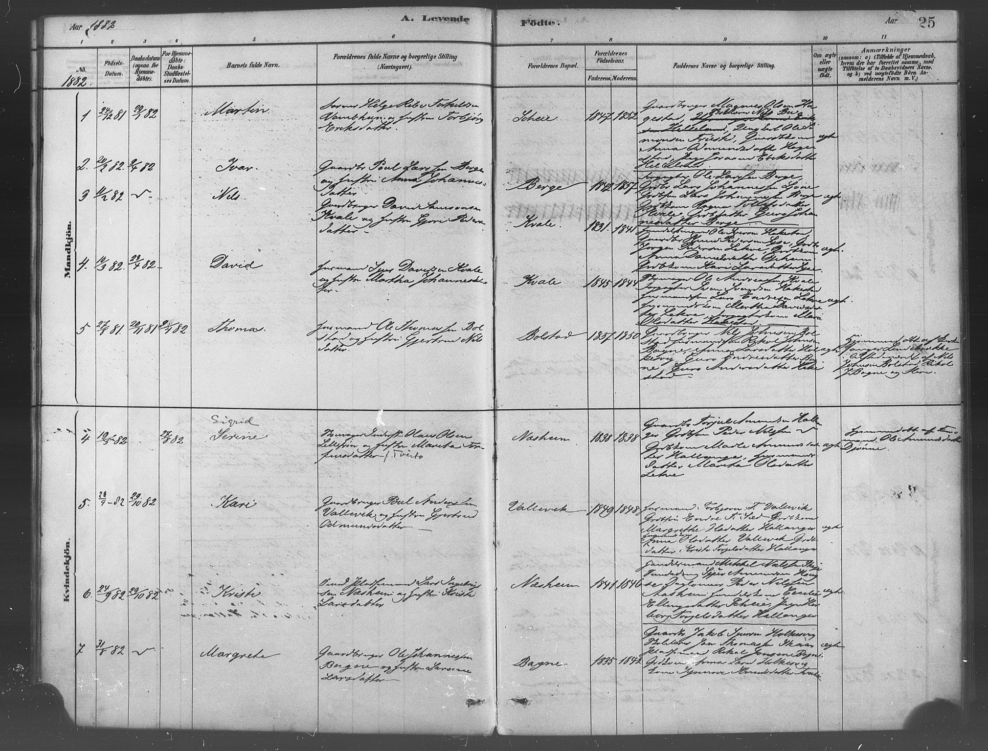 Ulvik sokneprestembete, AV/SAB-A-78801/H/Haa: Parish register (official) no. B 1, 1878-1897, p. 25