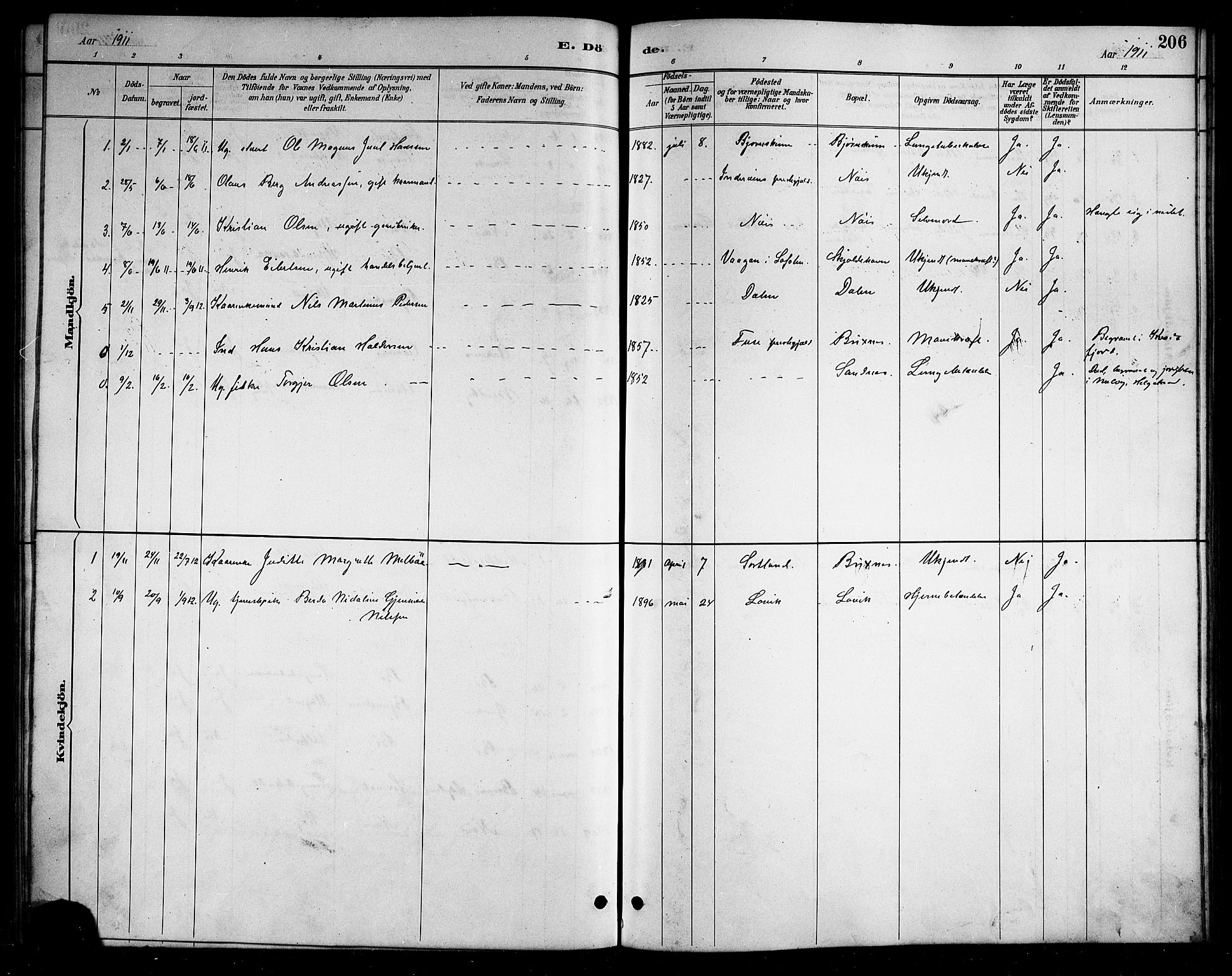 Ministerialprotokoller, klokkerbøker og fødselsregistre - Nordland, AV/SAT-A-1459/898/L1427: Parish register (copy) no. 898C02, 1887-1917, p. 206