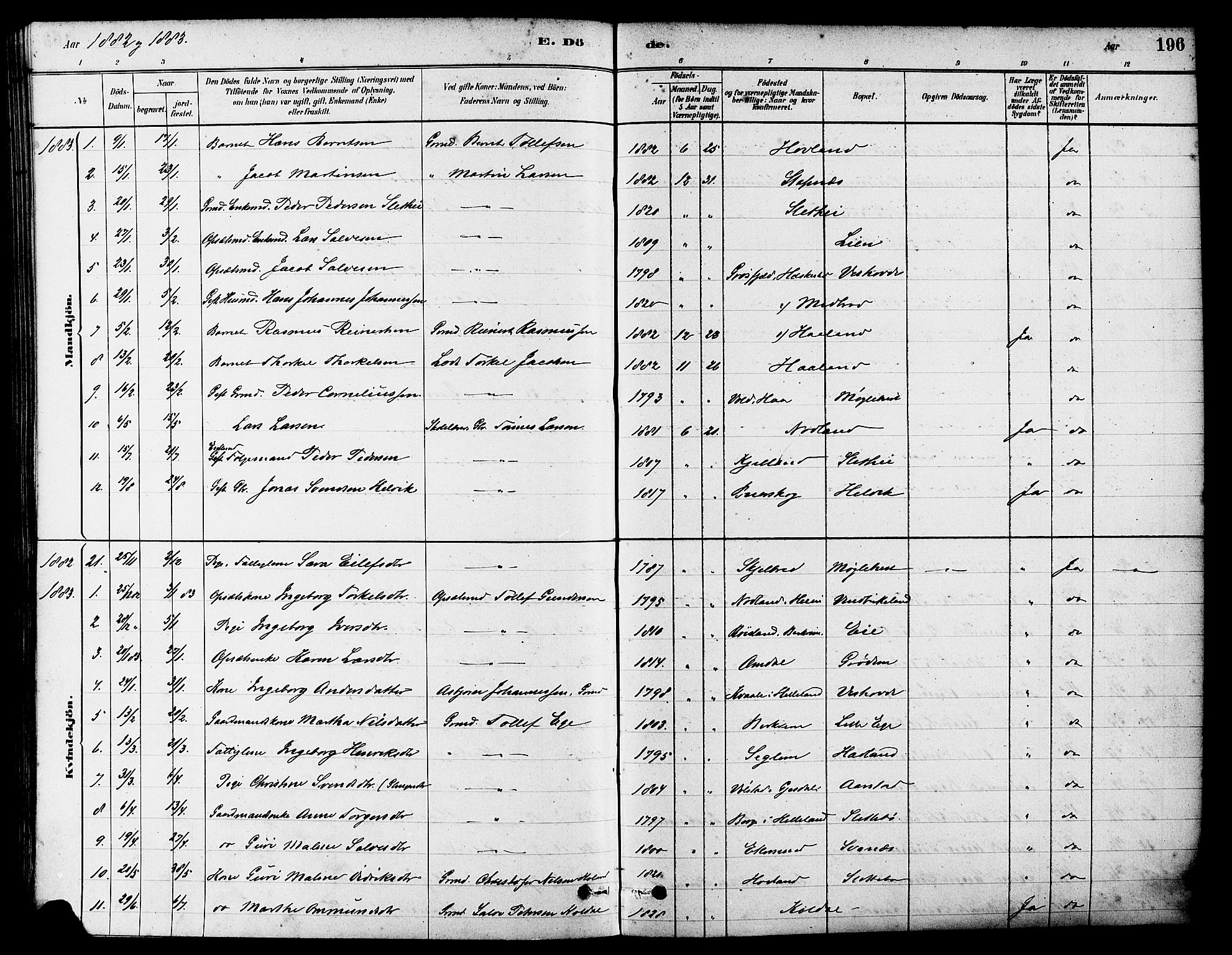 Eigersund sokneprestkontor, SAST/A-101807/S08/L0017: Parish register (official) no. A 14, 1879-1892, p. 196