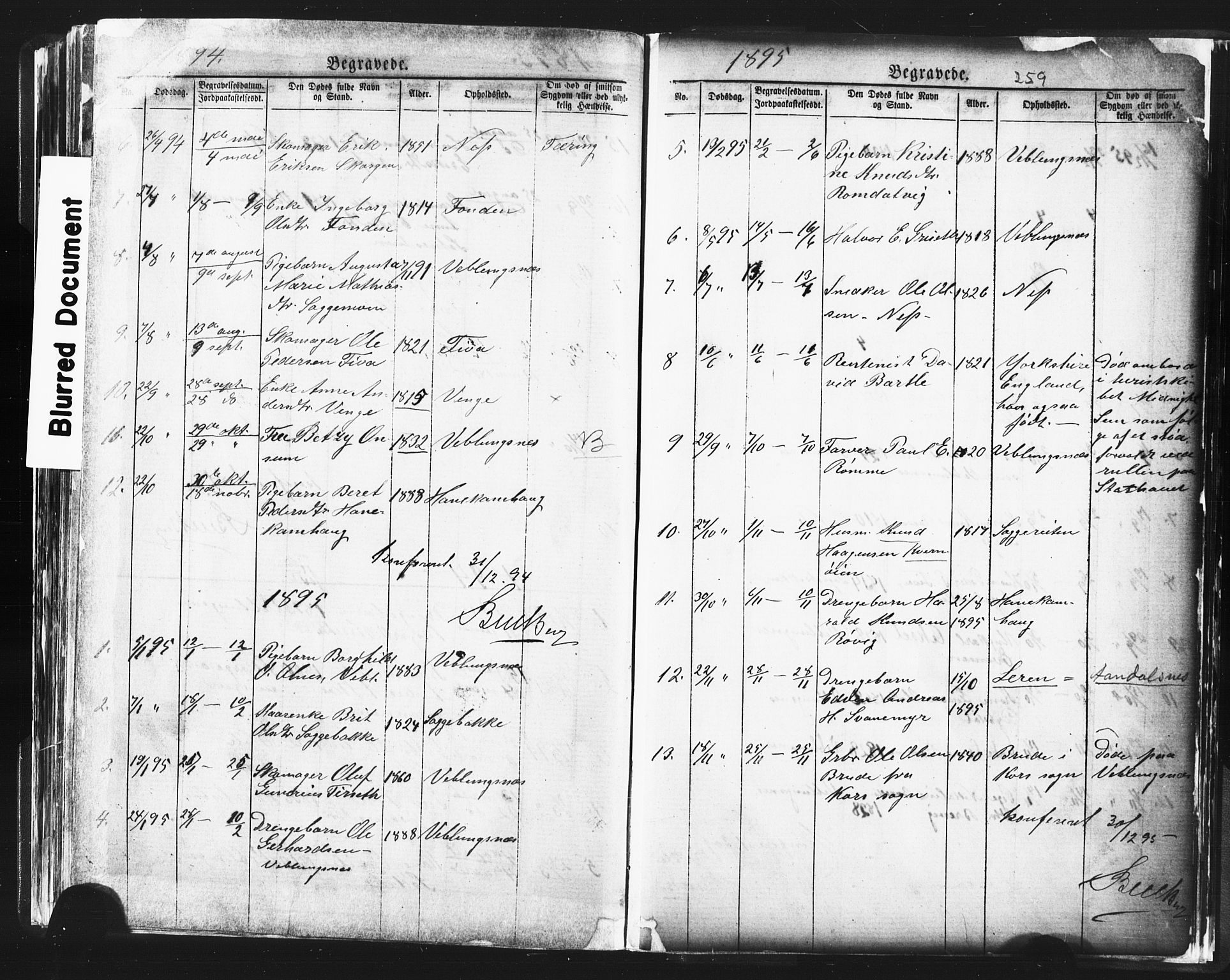Ministerialprotokoller, klokkerbøker og fødselsregistre - Møre og Romsdal, SAT/A-1454/544/L0580: Parish register (copy) no. 544C02, 1867-1909, p. 259