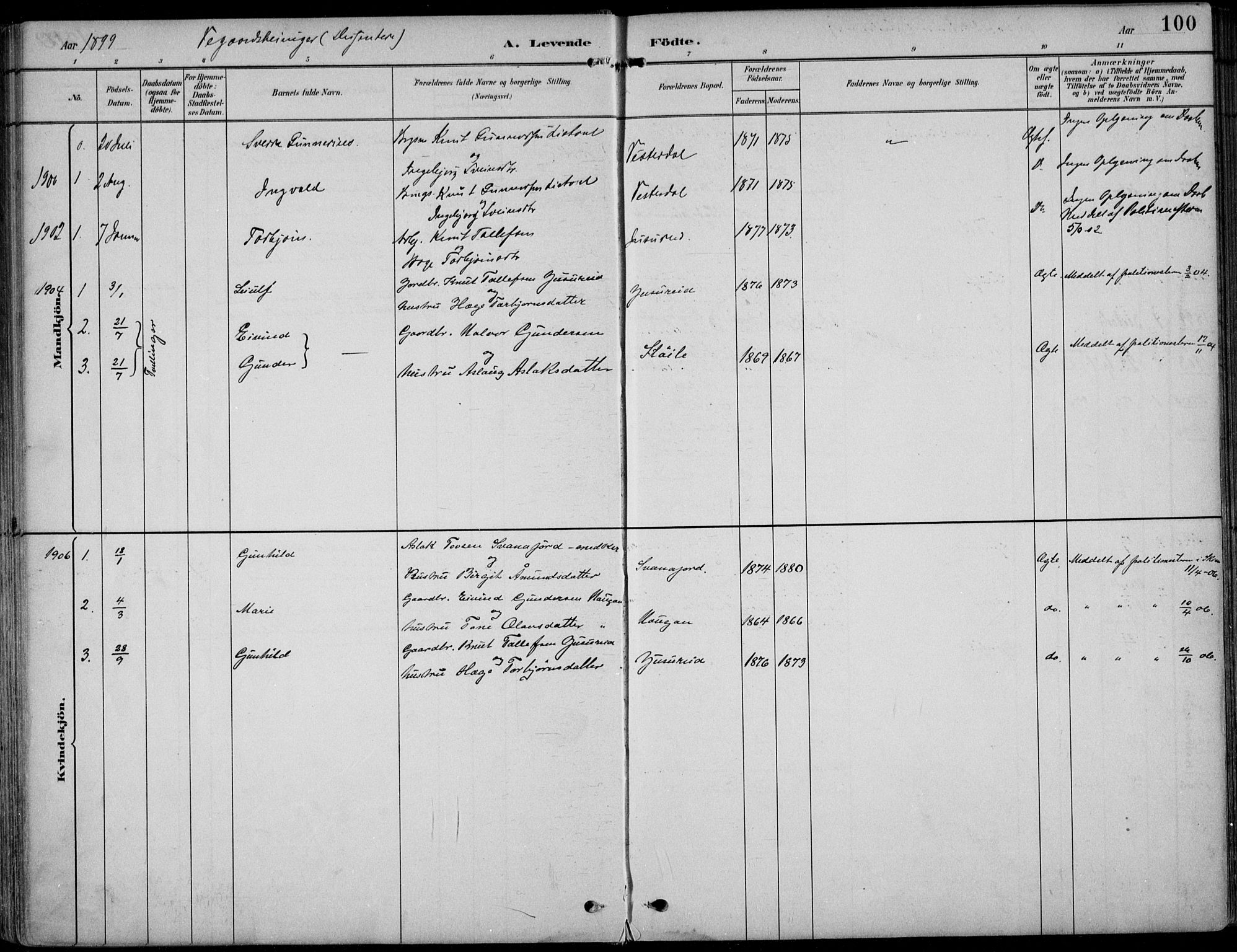 Kviteseid kirkebøker, SAKO/A-276/F/Fb/L0002: Parish register (official) no. II 2, 1882-1916, p. 100