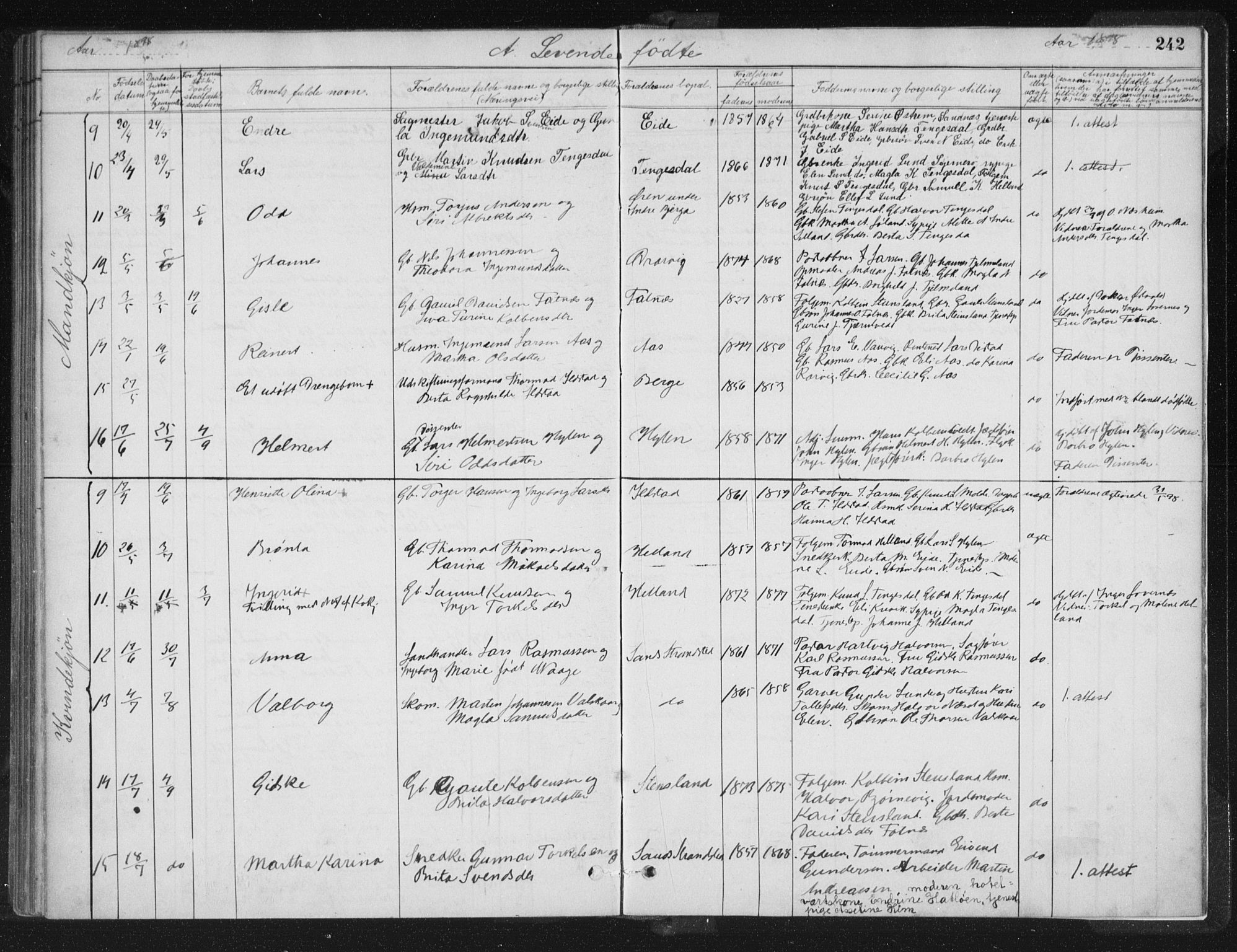 Sand sokneprestkontor, SAST/A-101848/01/III/L0005: Parish register (official) no. A 5, 1880-1898, p. 242