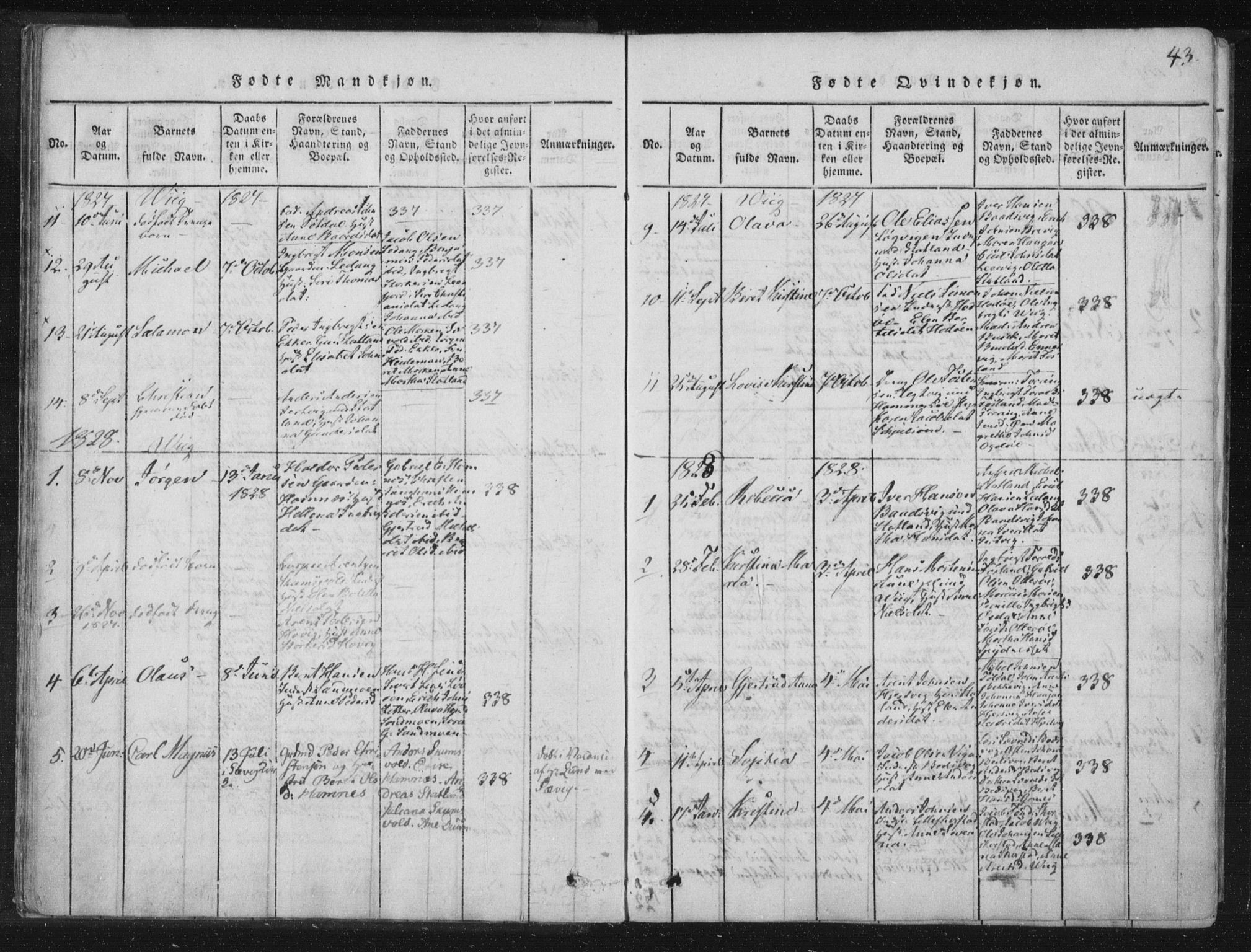 Ministerialprotokoller, klokkerbøker og fødselsregistre - Nord-Trøndelag, SAT/A-1458/773/L0609: Parish register (official) no. 773A03 /2, 1815-1830, p. 43