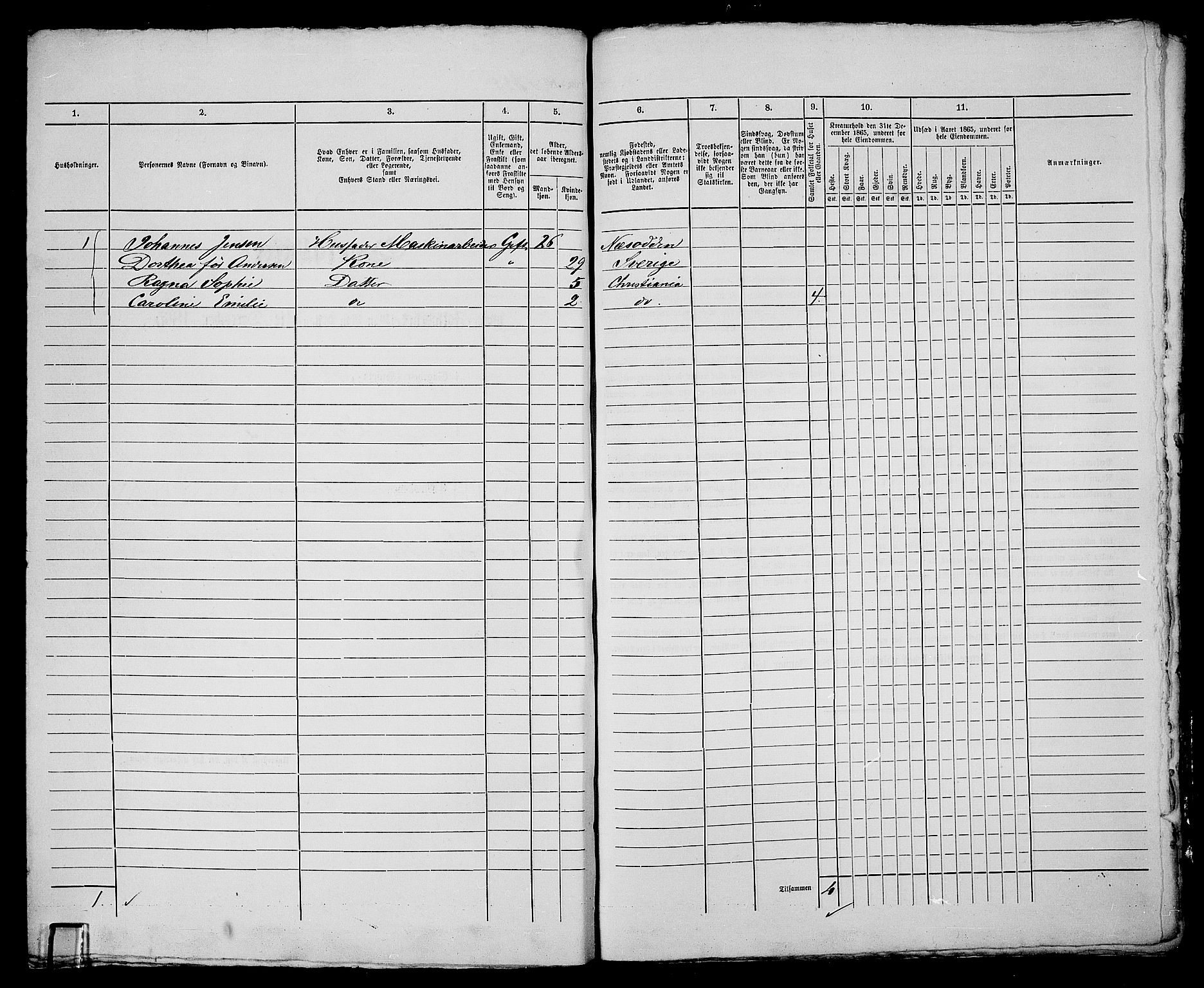 RA, 1865 census for Kristiania, 1865, p. 3129