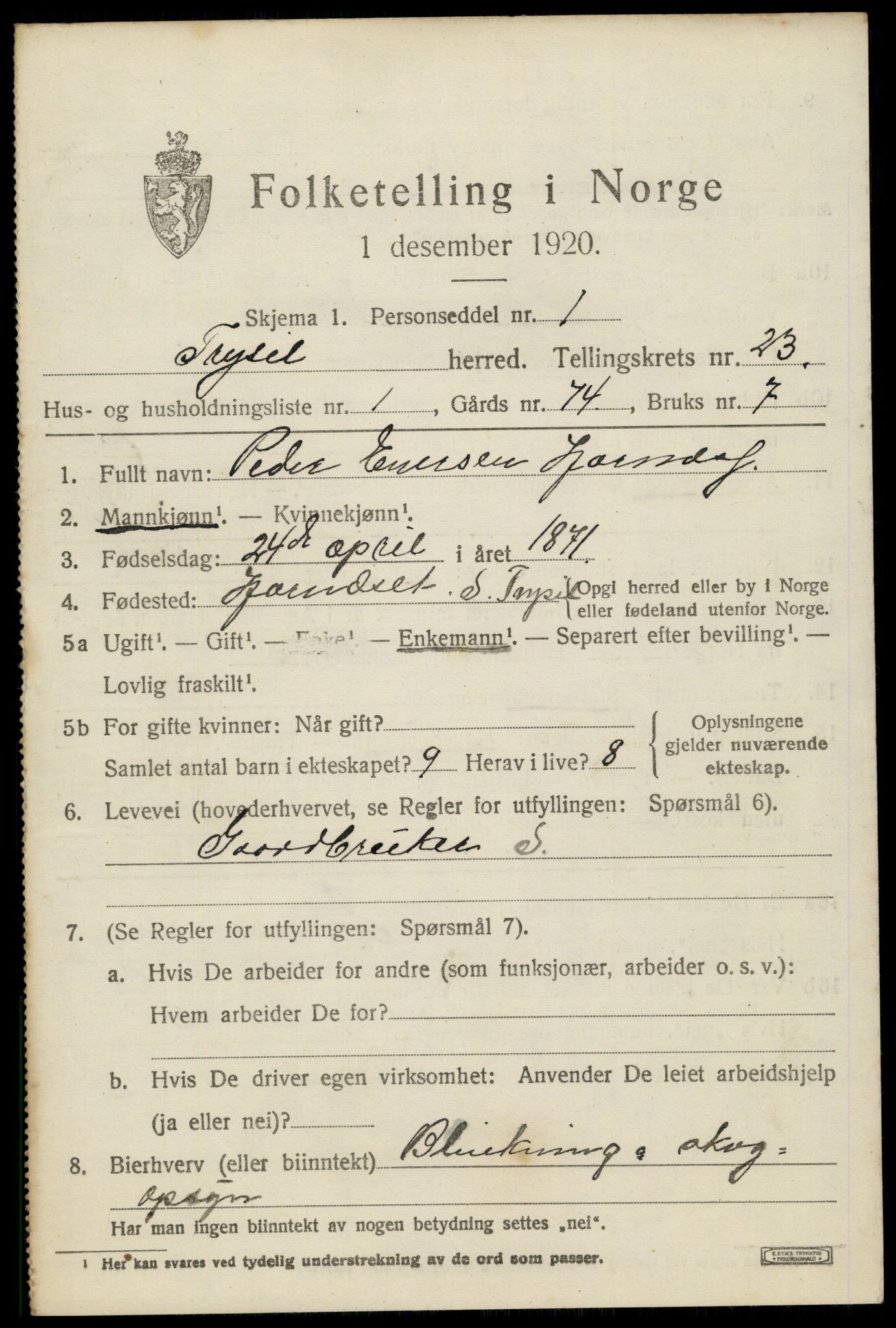 SAH, 1920 census for Trysil, 1920, p. 14847