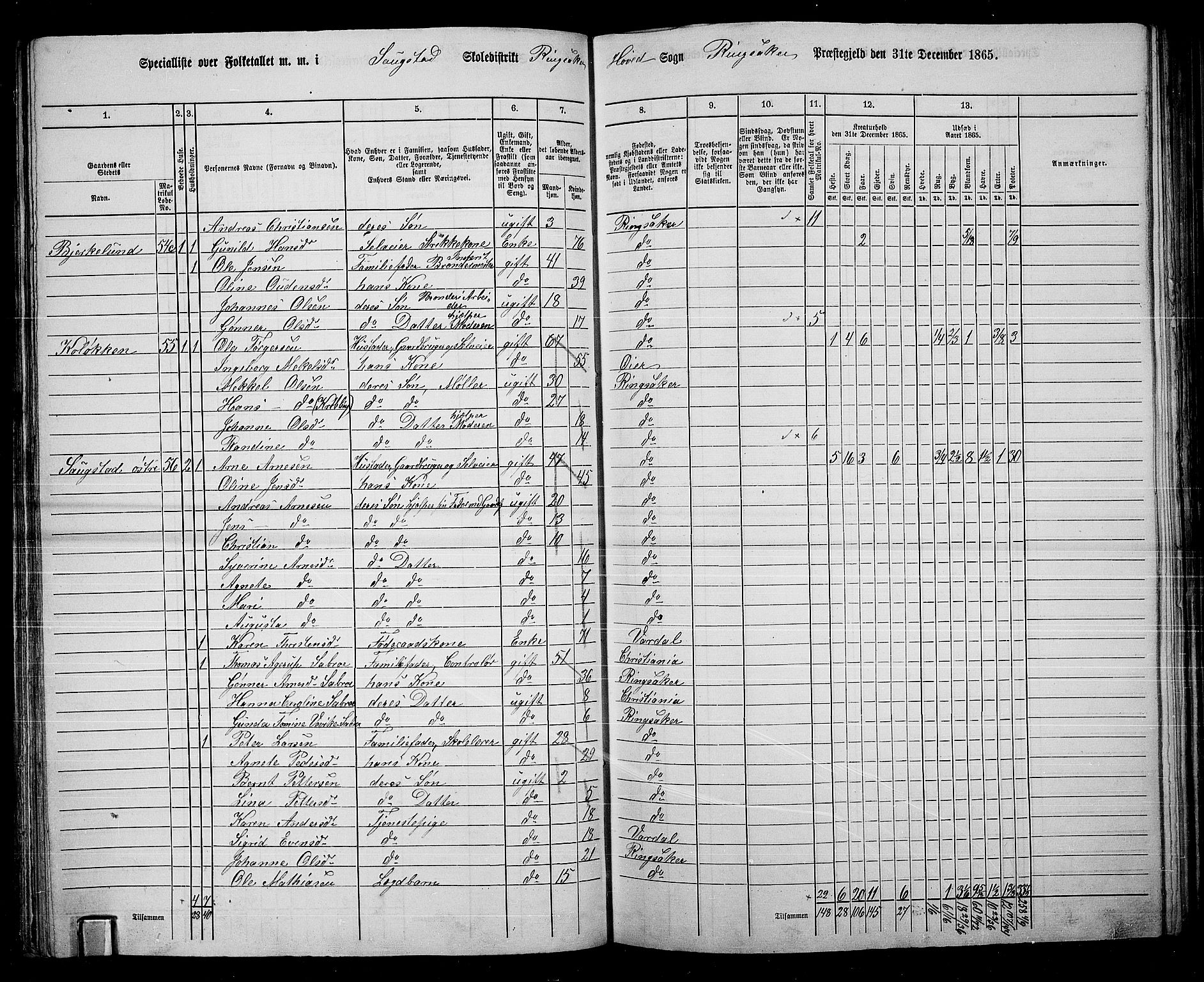 RA, 1865 census for Ringsaker, 1865, p. 105