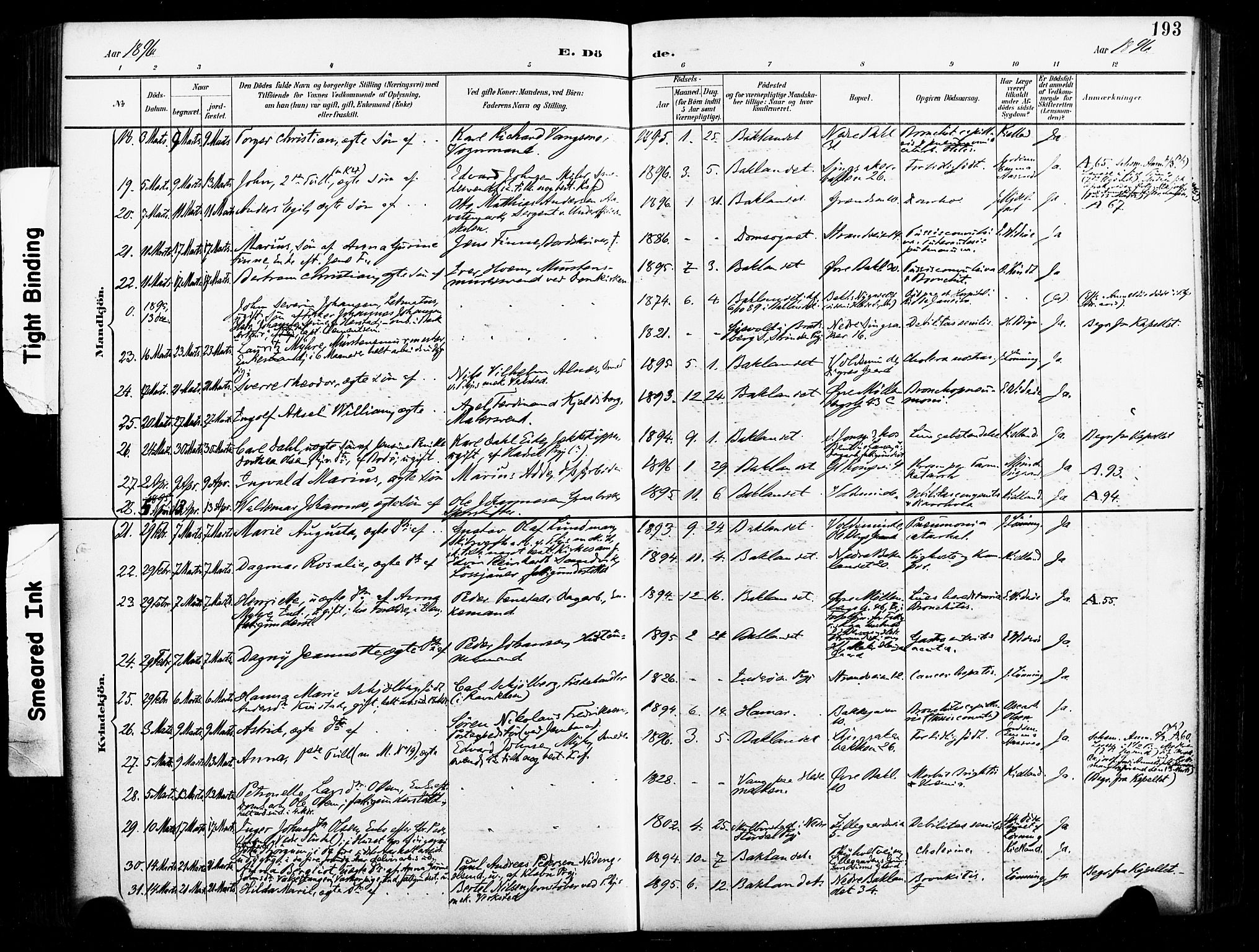 Ministerialprotokoller, klokkerbøker og fødselsregistre - Sør-Trøndelag, SAT/A-1456/604/L0198: Parish register (official) no. 604A19, 1893-1900, p. 193