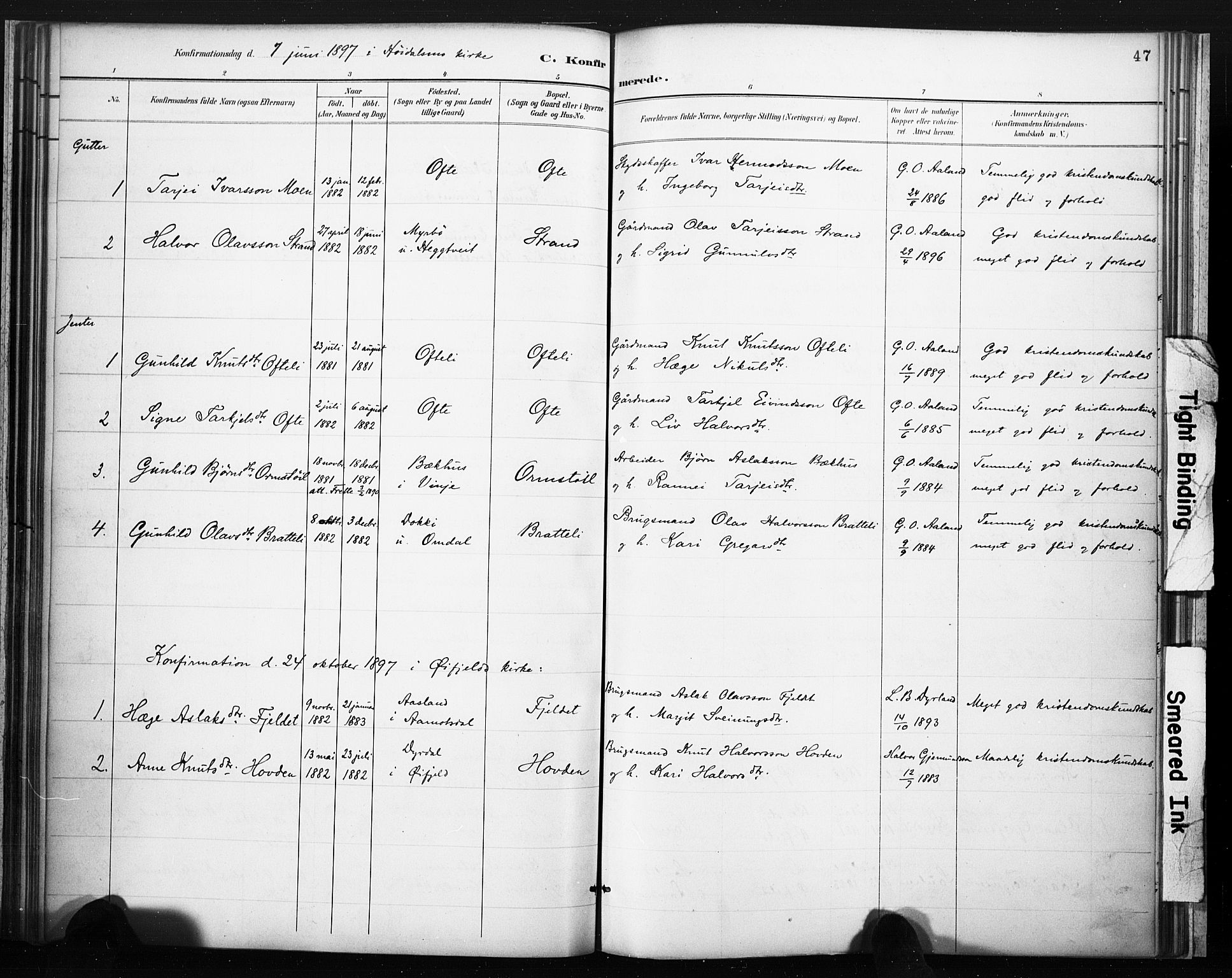 Lårdal kirkebøker, SAKO/A-284/F/Fc/L0002: Parish register (official) no. III 2, 1887-1906, p. 47