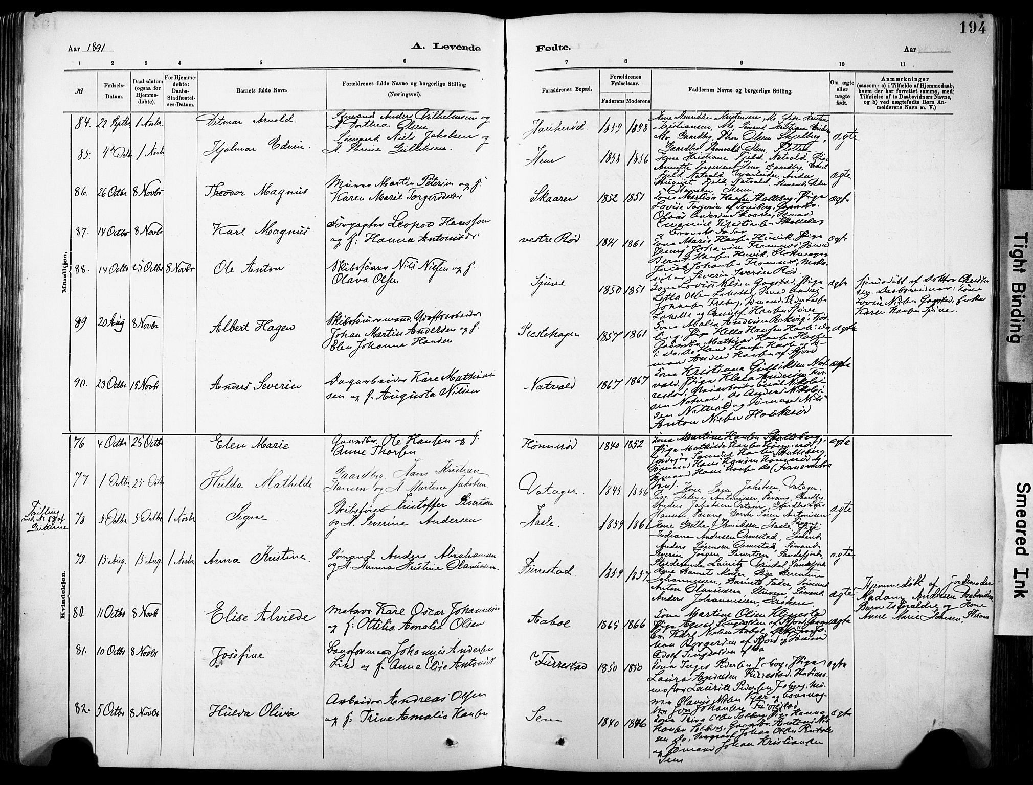 Sandar kirkebøker, AV/SAKO-A-243/F/Fa/L0012: Parish register (official) no. 12, 1883-1895, p. 194