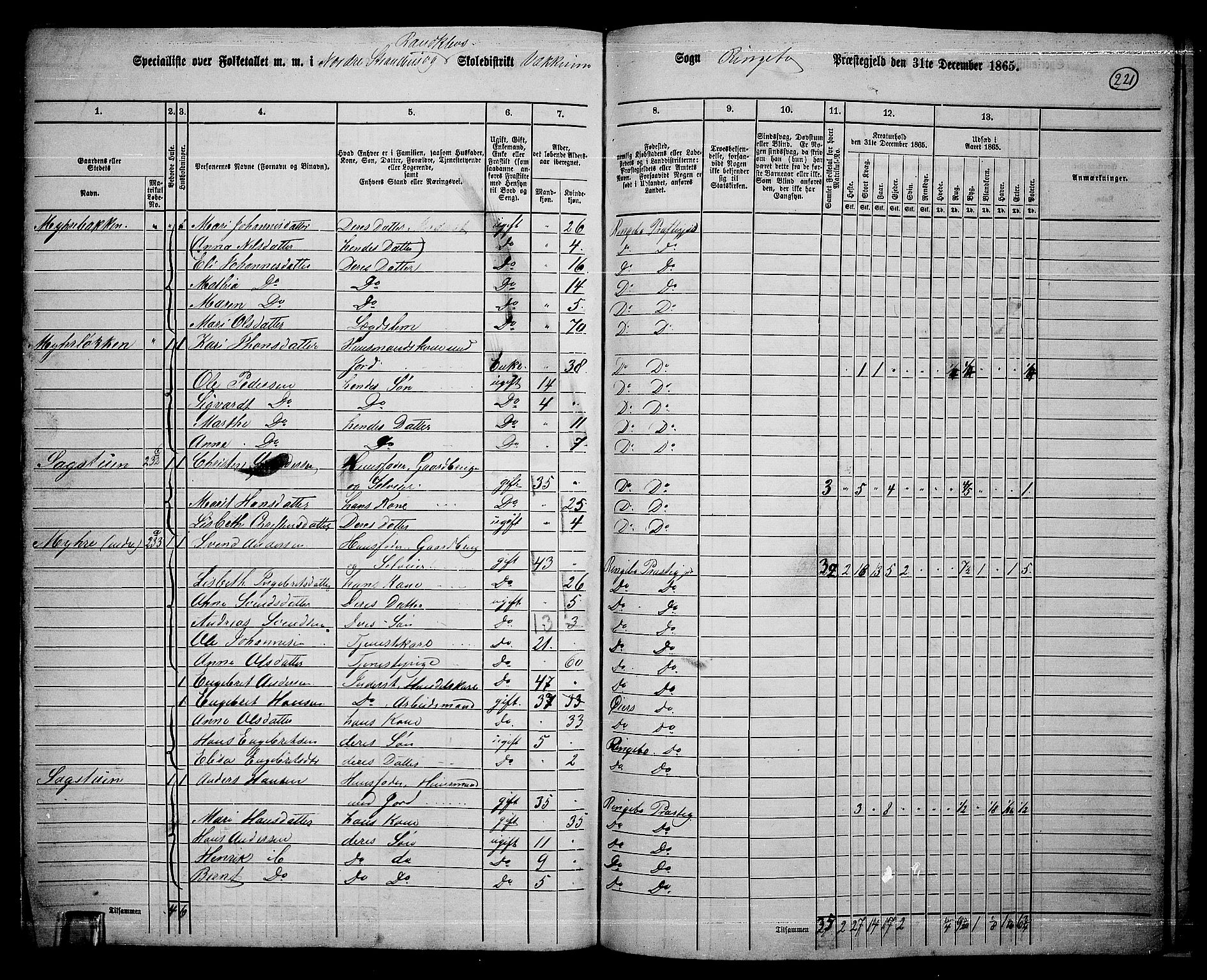 RA, 1865 census for Ringebu, 1865, p. 192