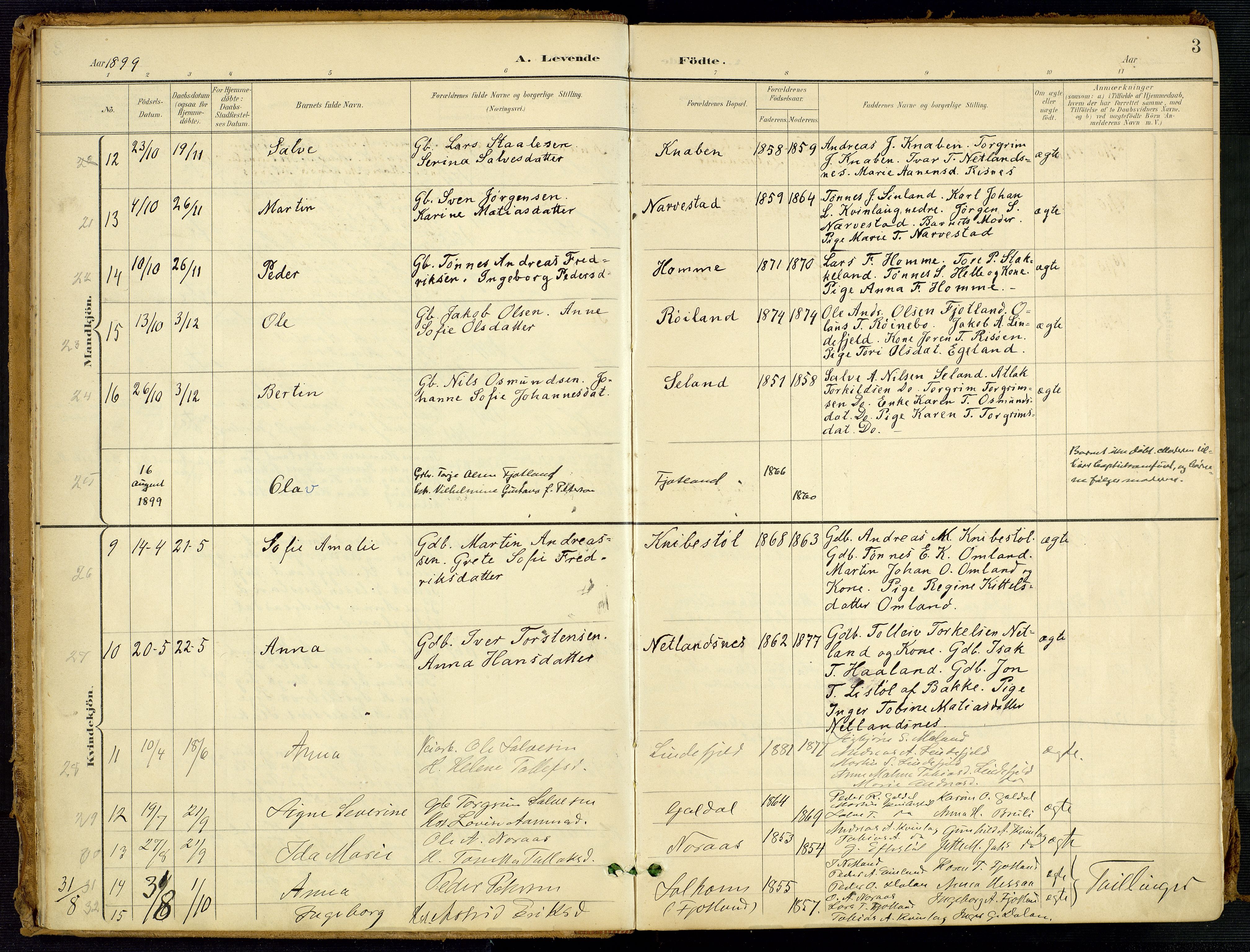 Fjotland sokneprestkontor, SAK/1111-0010/F/Fa/L0003: Parish register (official) no. A 3, 1899-1917, p. 3