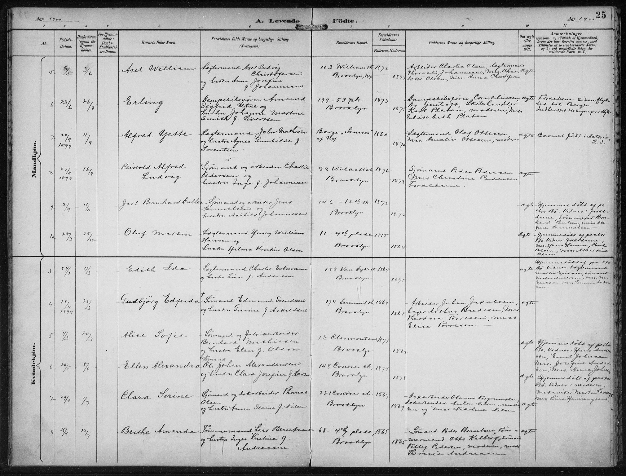 Den norske sjømannsmisjon i utlandet/New York, AV/SAB-SAB/PA-0110/H/Ha/L0004: Parish register (official) no. A 4, 1893-1901, p. 25