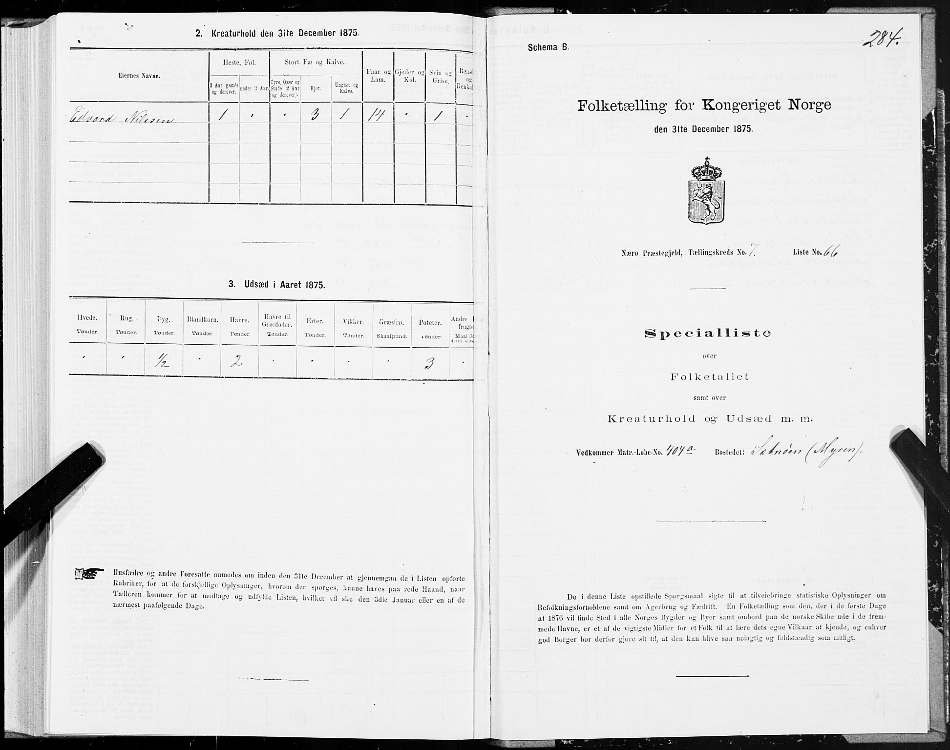 SAT, 1875 census for 1751P Nærøy, 1875, p. 3284