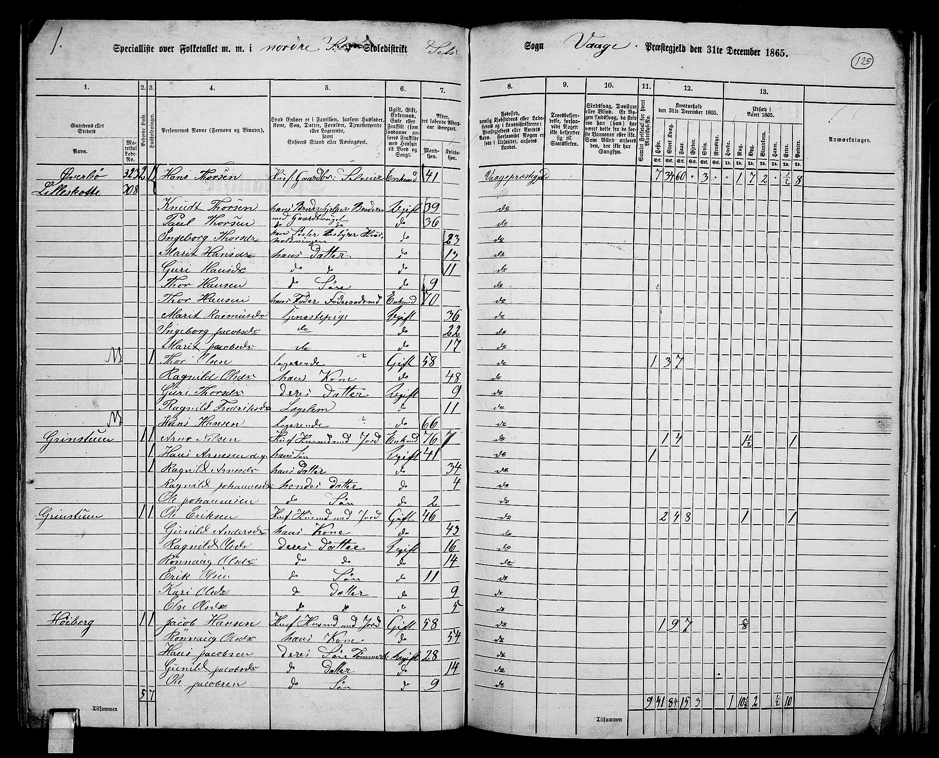 RA, 1865 census for Vågå, 1865, p. 281
