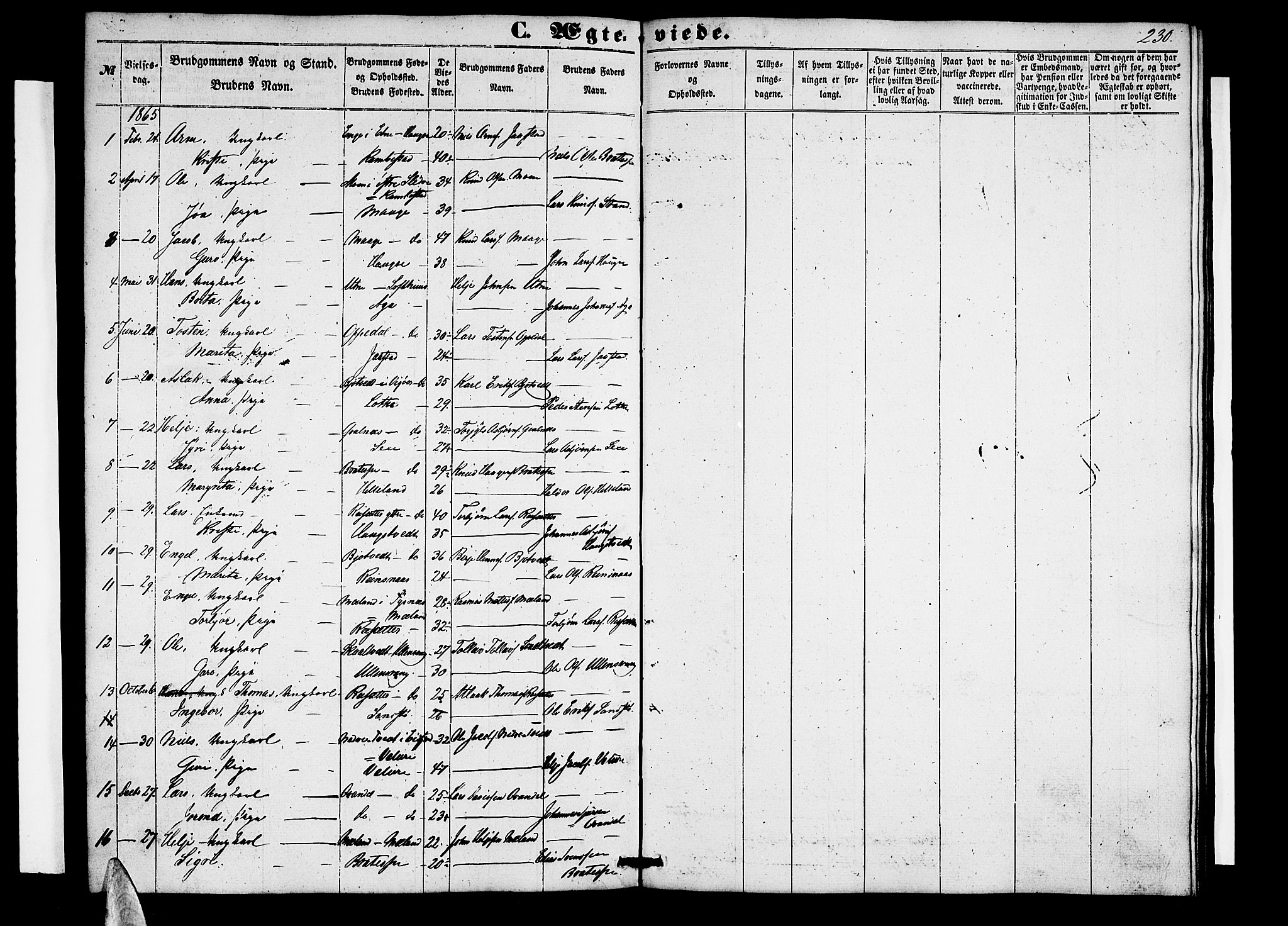 Ullensvang sokneprestembete, SAB/A-78701/H/Hab: Parish register (copy) no. B 10, 1858-1886, p. 230