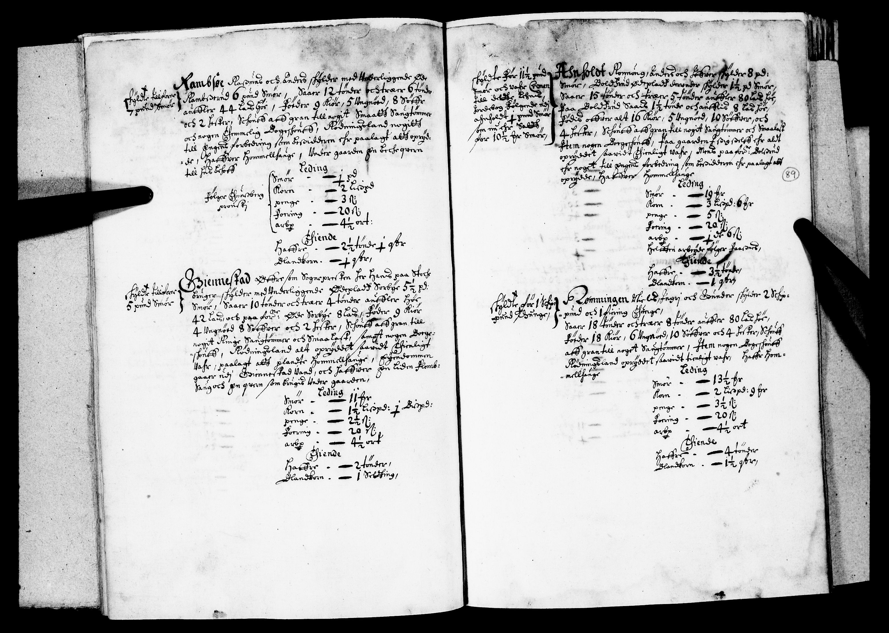 Rentekammeret inntil 1814, Realistisk ordnet avdeling, AV/RA-EA-4070/N/Nb/Nba/L0019: Tønsberg len, 1. del, 1668, p. 88b-89a